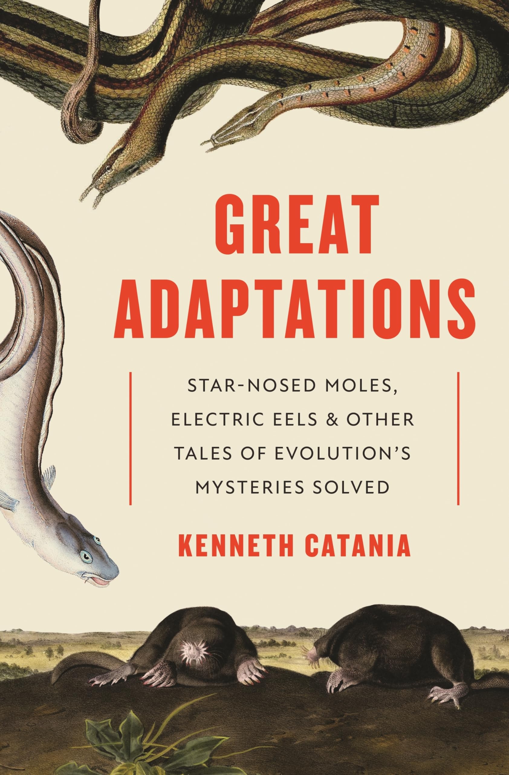 Great Adaptations: Starnosed Moles, Electric Eels, And Other Tales Of Evolutions Mysteries Solved,New