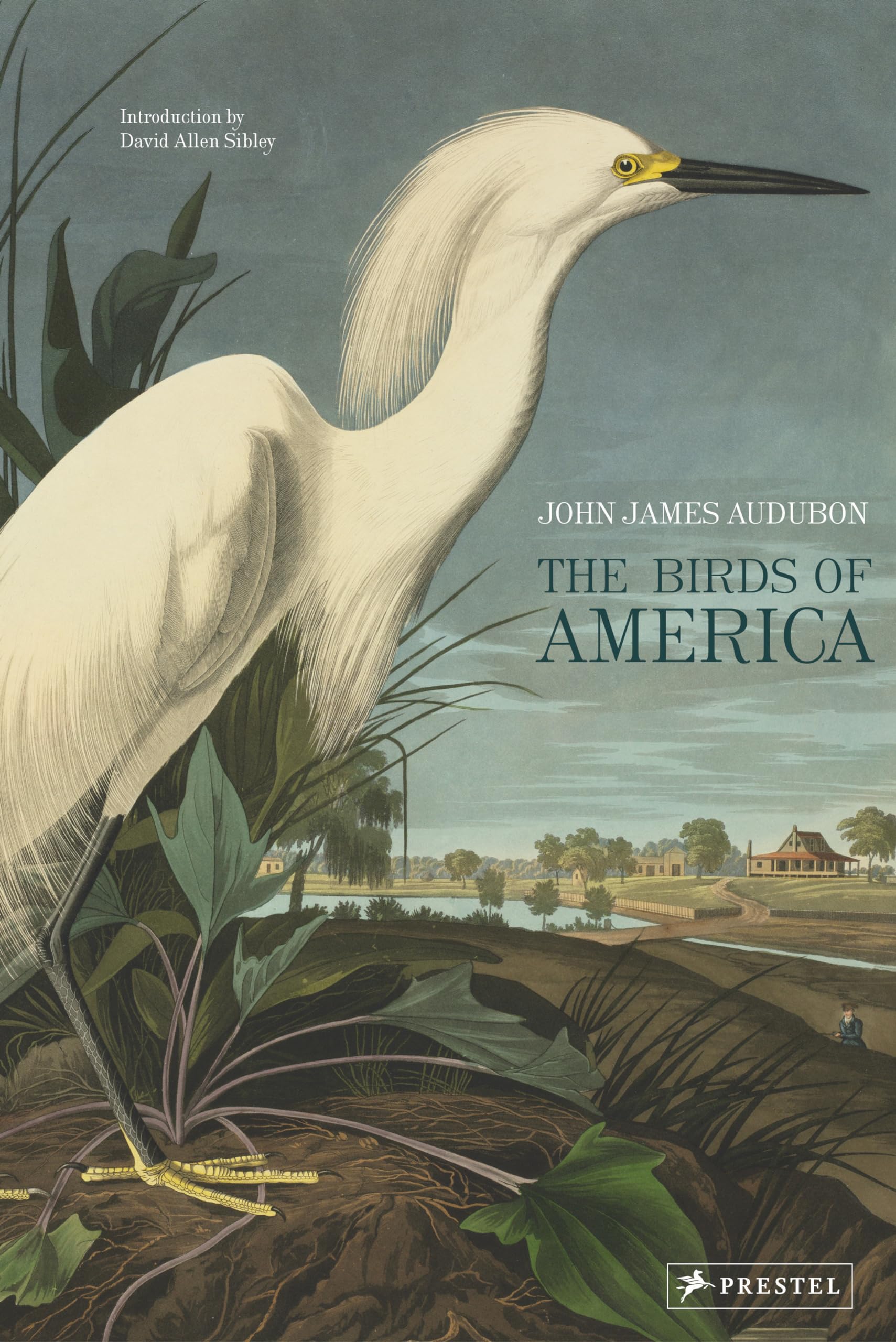 The Birds Of America,Used