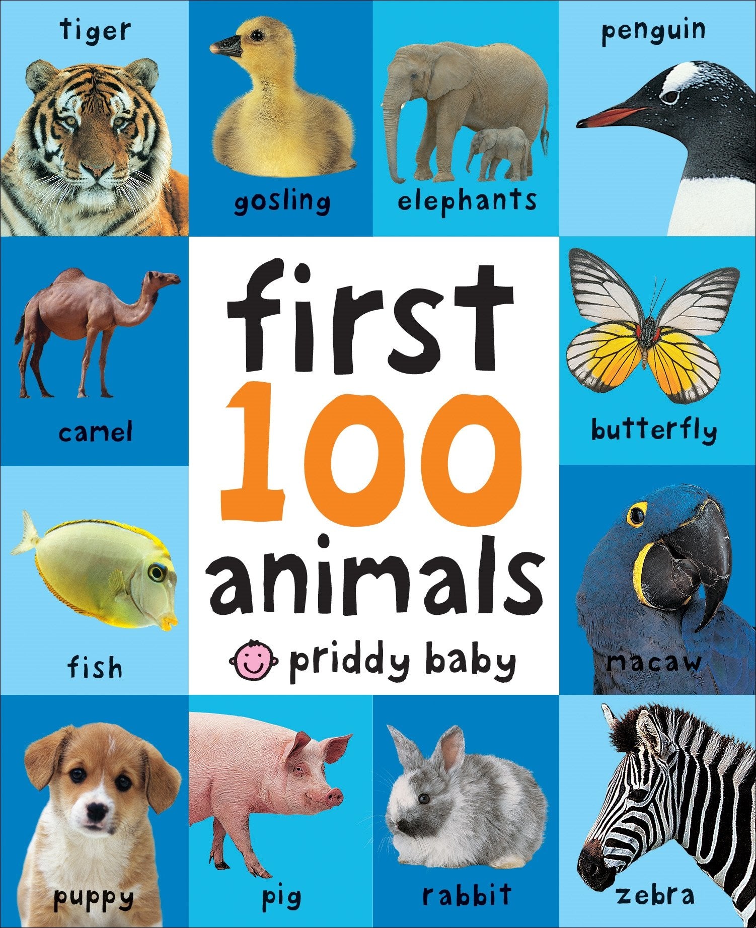 First 100 Animals,New