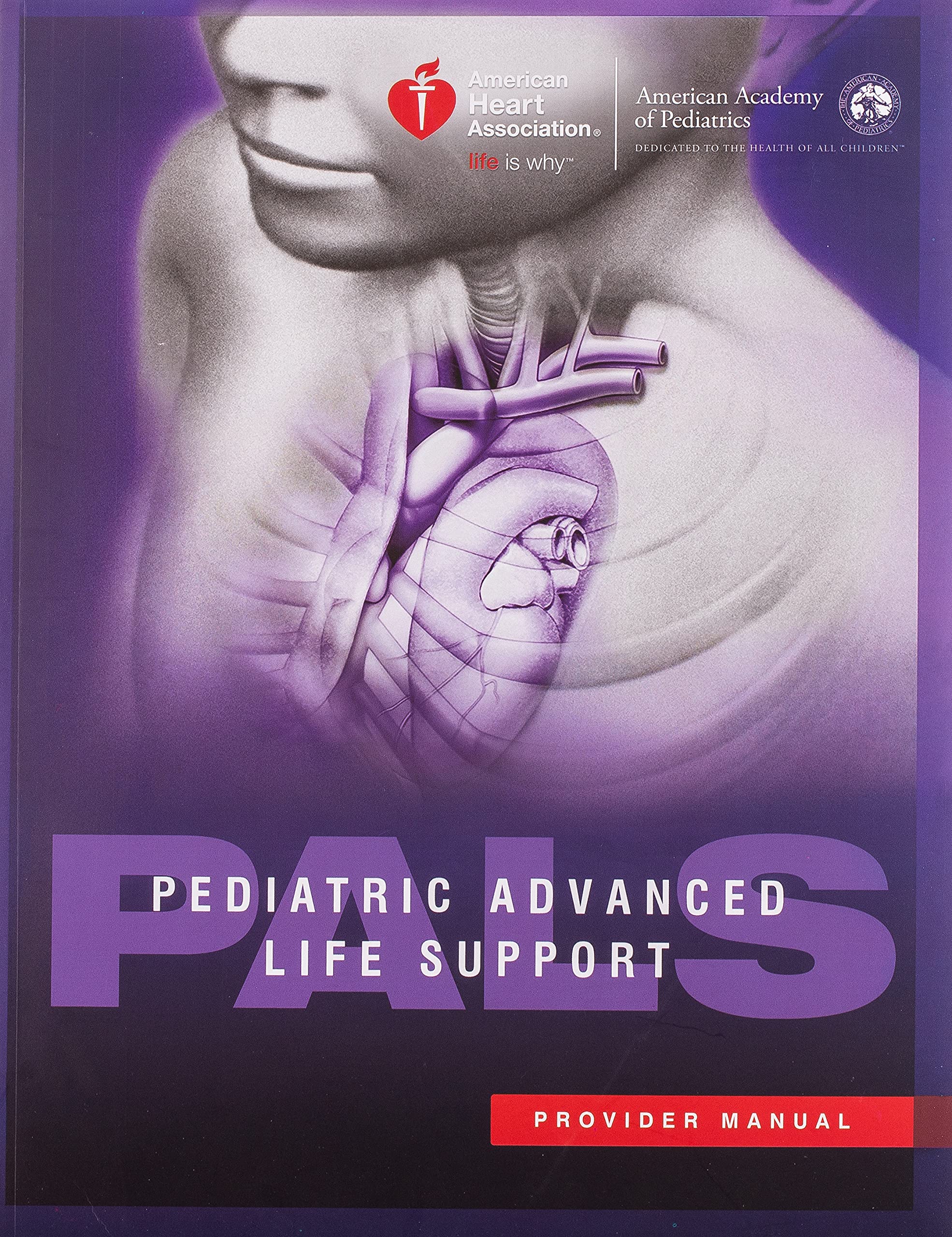 Pediatric Advanced Life Support Provider Manual,New
