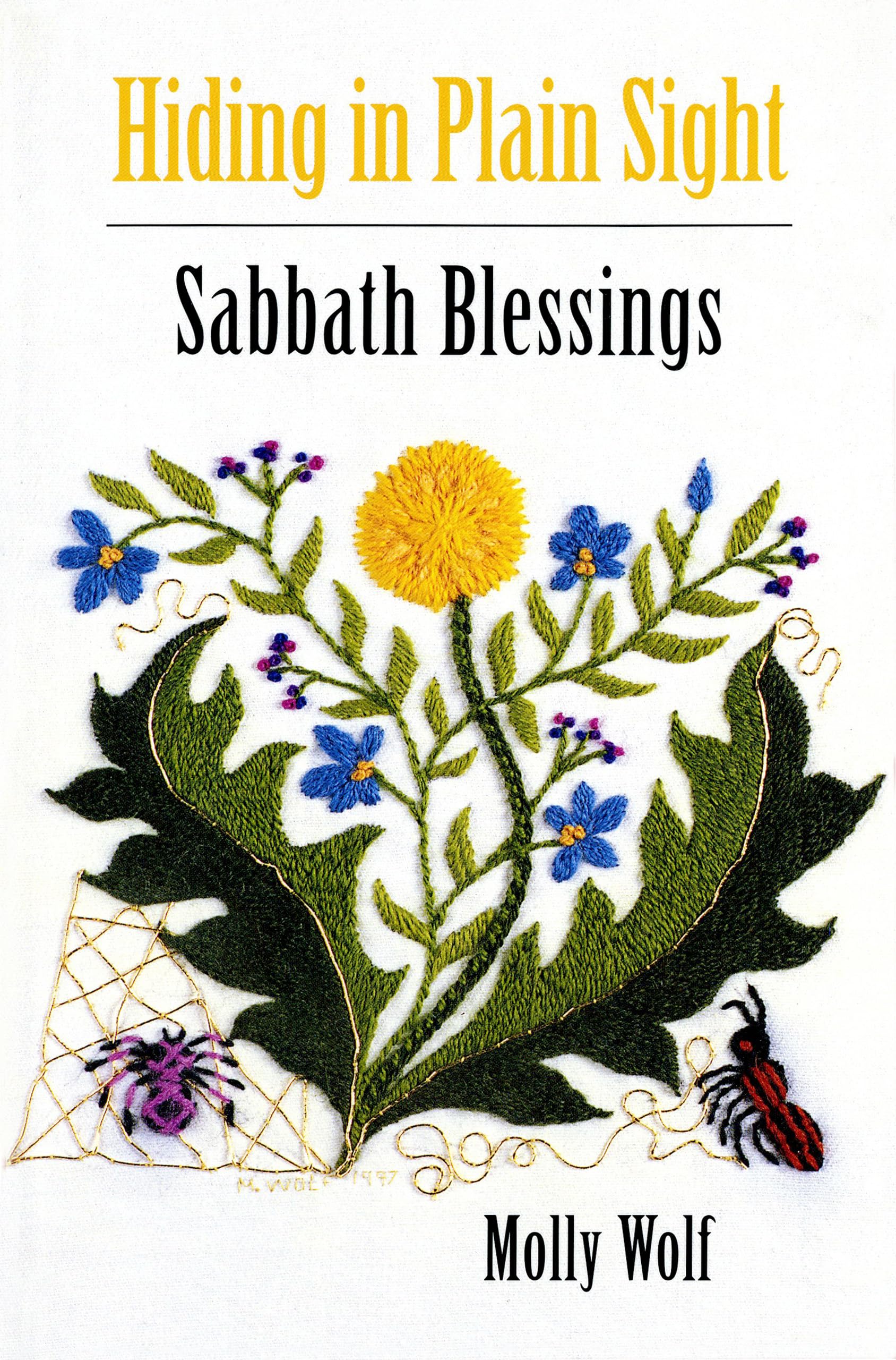 Hiding in Plain Sight: Sabbath Blessings,Used