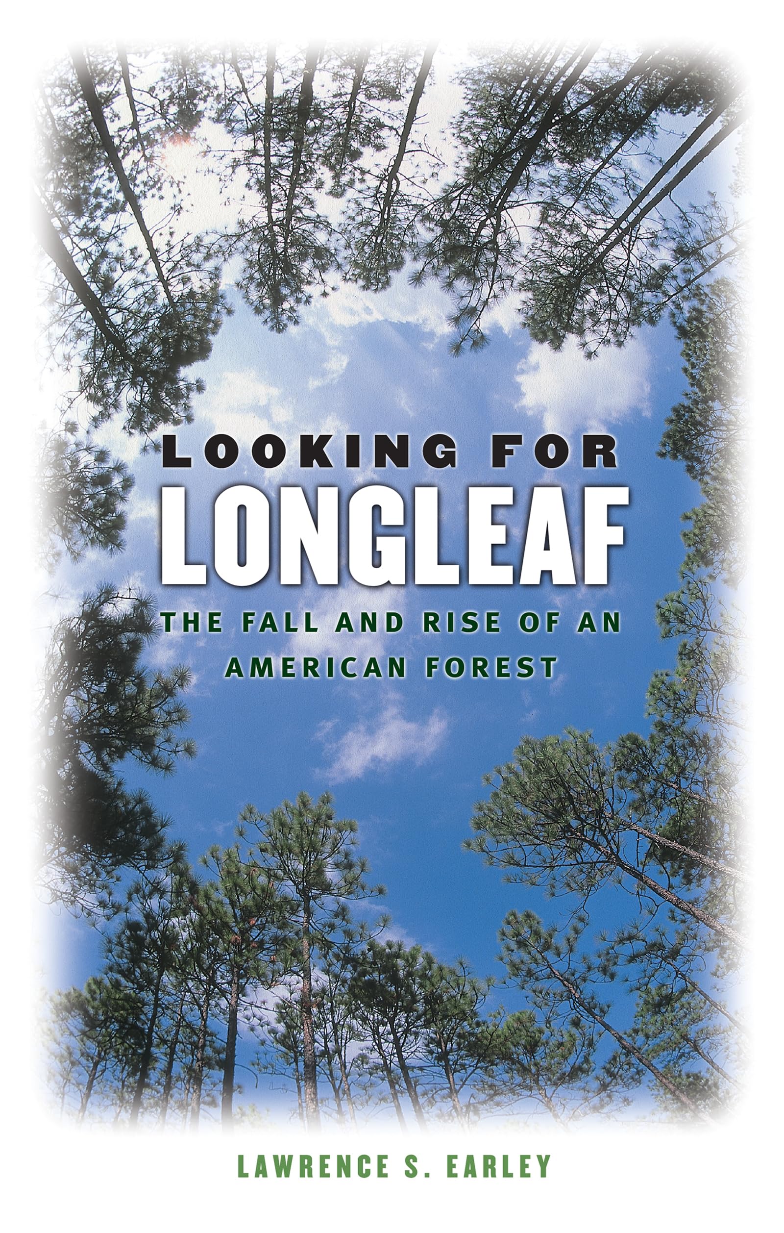 Looking For Longleaf: The Fall And Rise Of An American Forest,Used