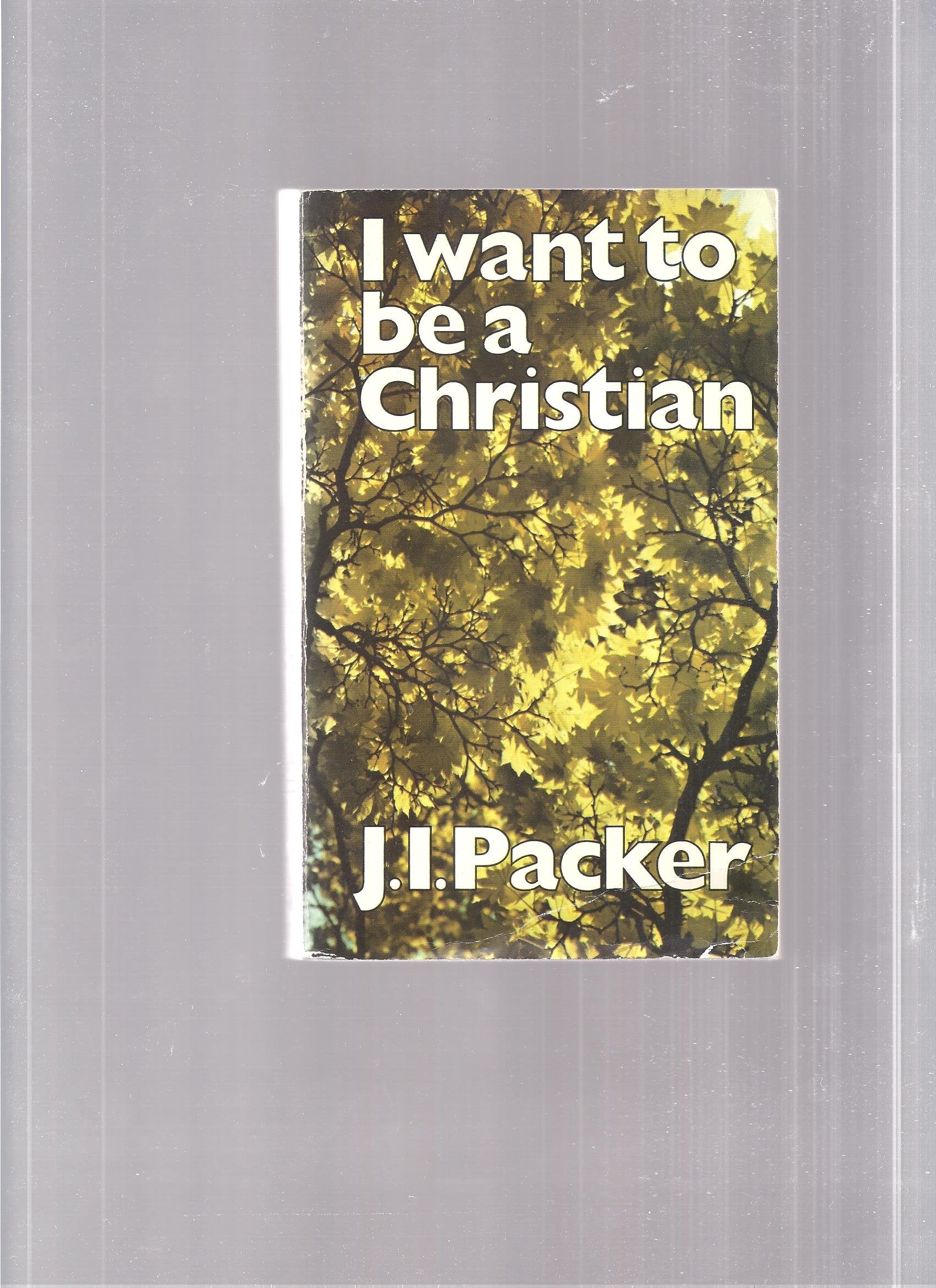 I want to be a Christian,Used
