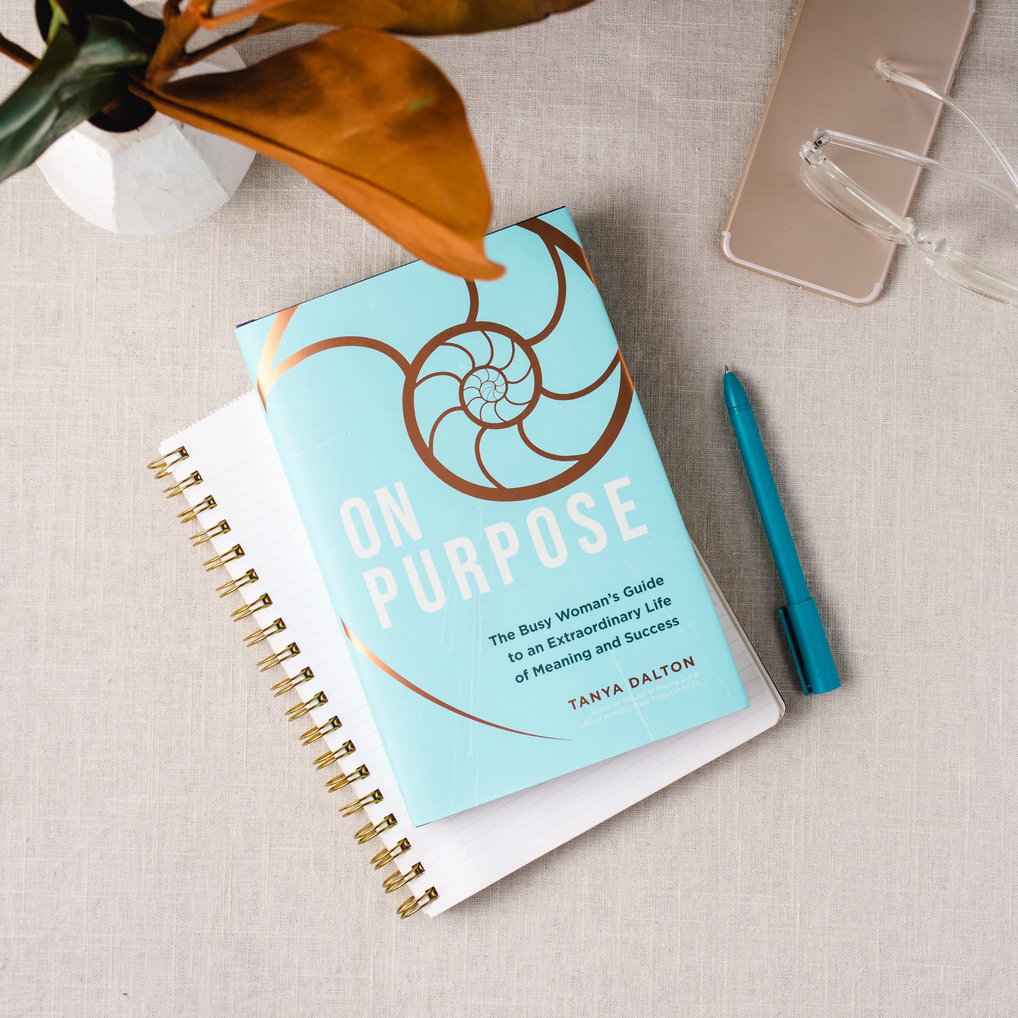On Purpose: The Busy Woman's Guide to an Extraordinary Life of Meaning and Success,Used