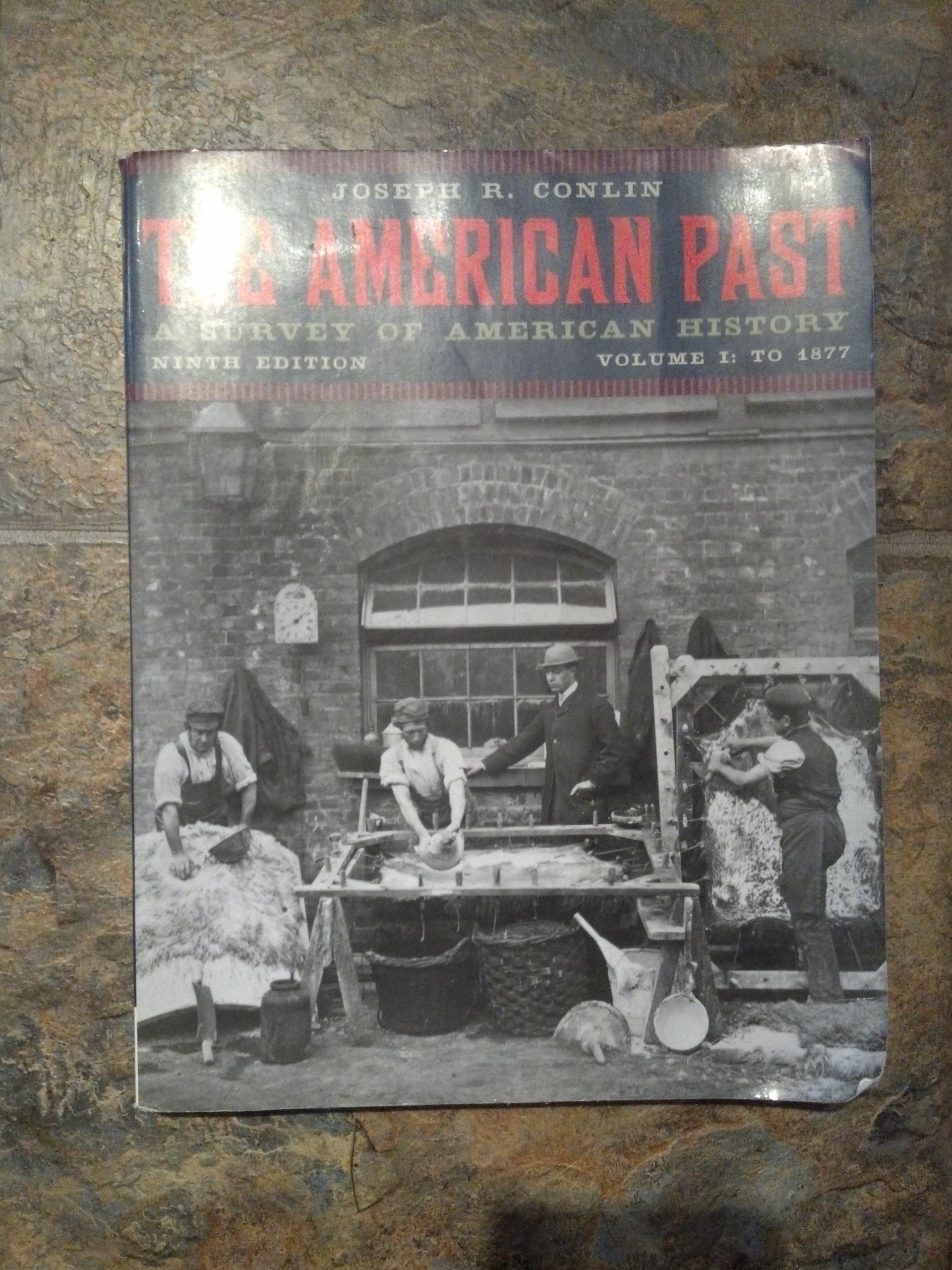 The American Past: A Survey Of American History, Volume I: To 1877,New