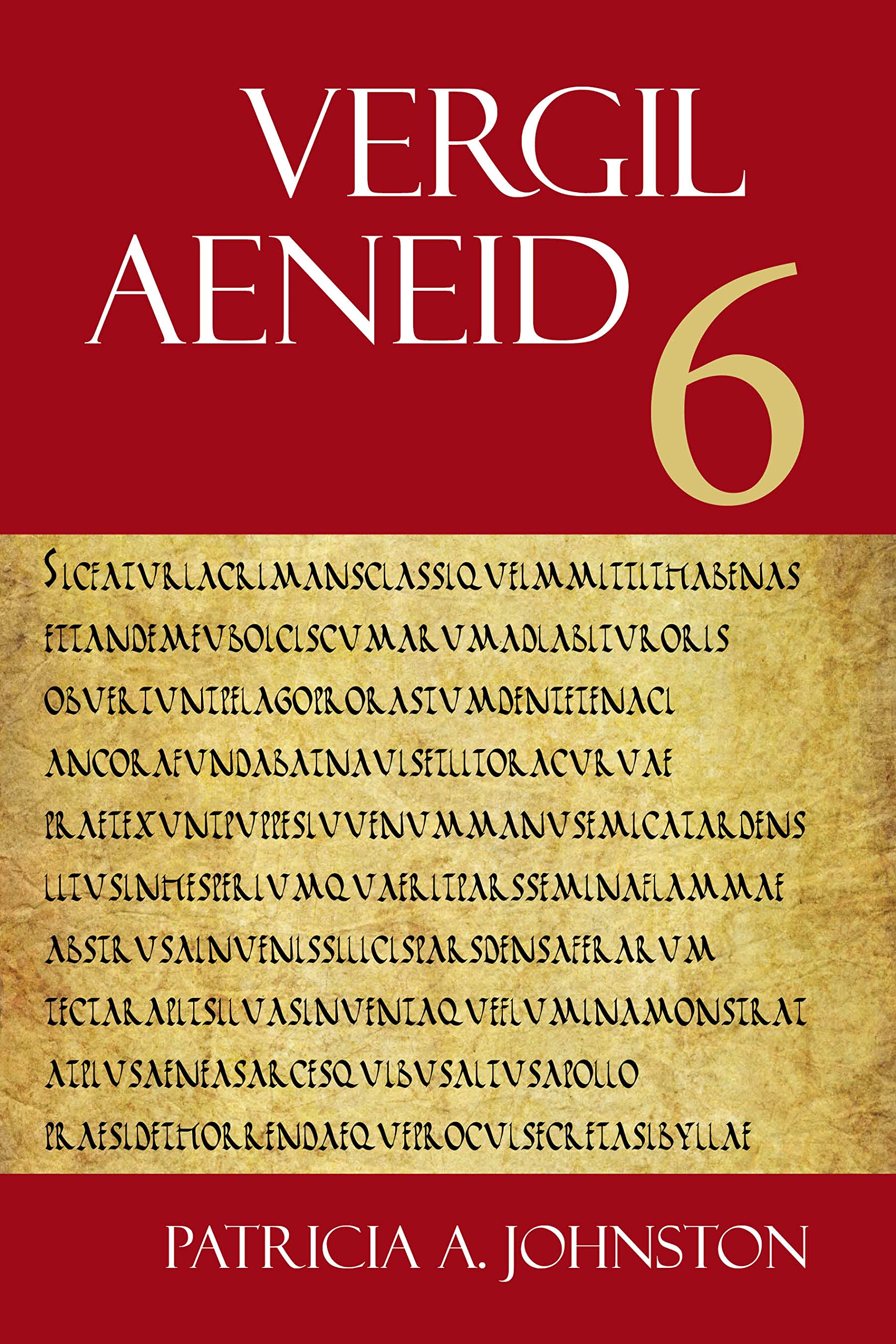 Aeneid 6 (The Focus Vergil Aeneid Commentaries) (Latin And English Edition),Used