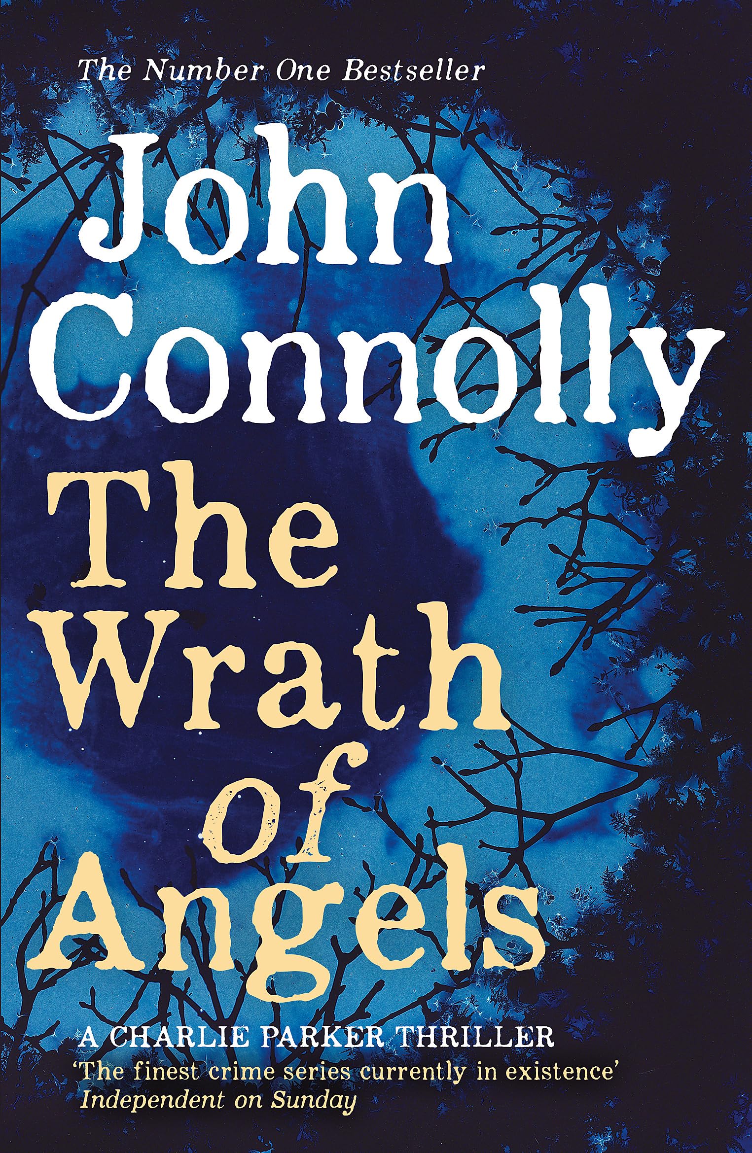 The Wrath of Angels: A Charlie Parker Thriller: 11,Used