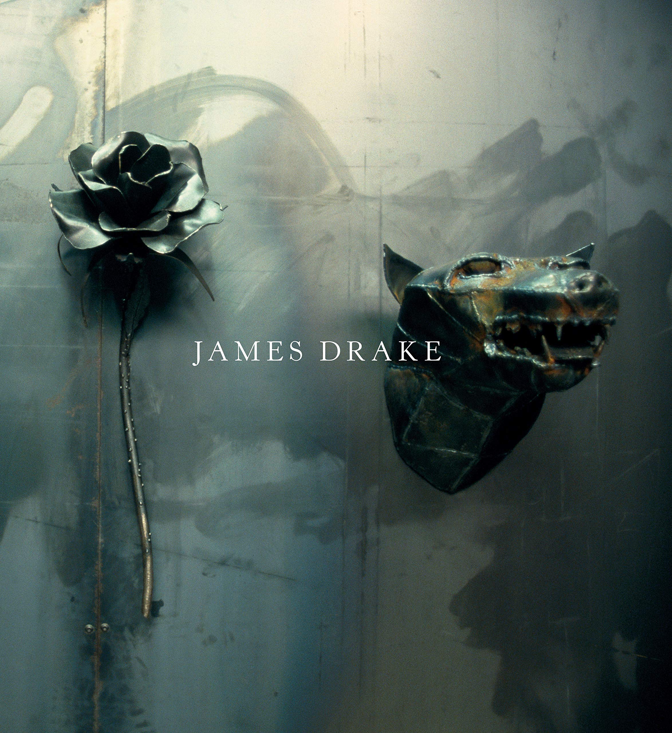 James Drake (M. Georgia Hegarty Dunkerley Contemporary Art Series),Used