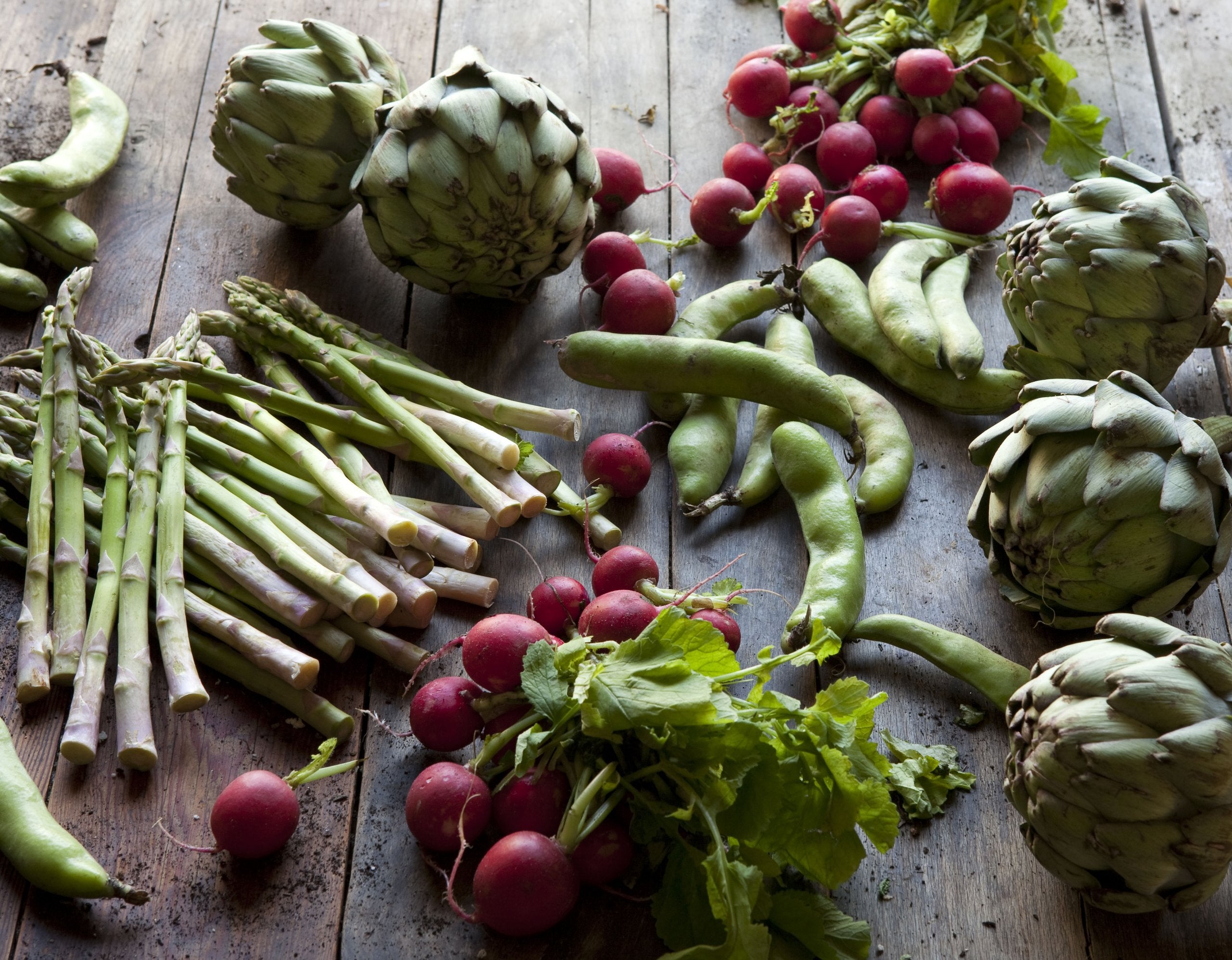 Vegetables from an Italian Garden: SeasonbySeason Recipes,Used