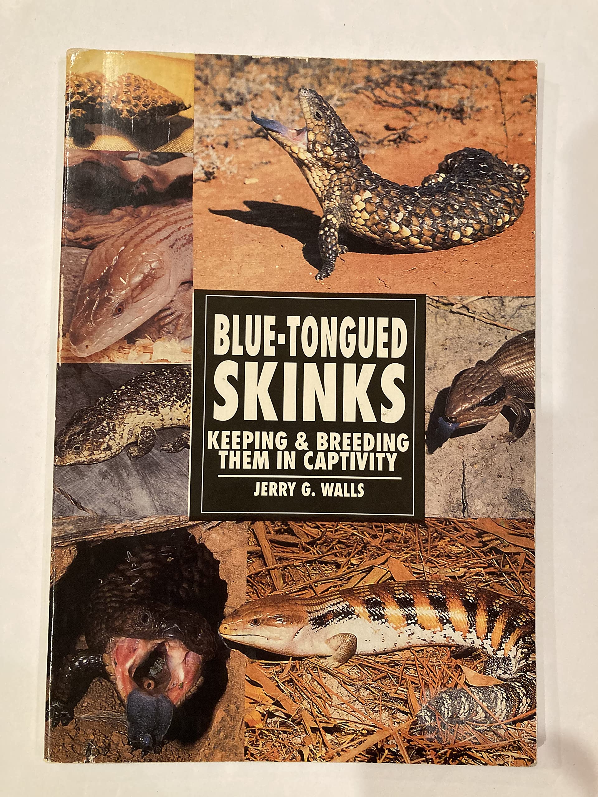 BlueTongued Skinks: Keeping & Breeding Them in Captivity,Used