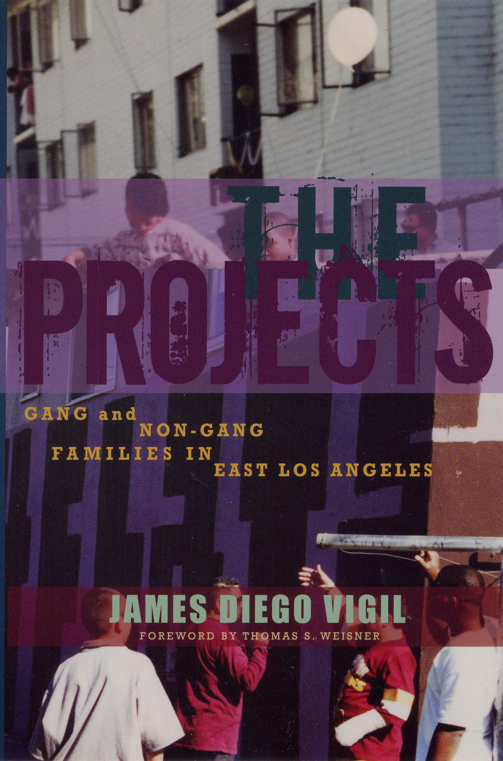 The Projects: Gang And Nongang Families In East Los Angeles,New