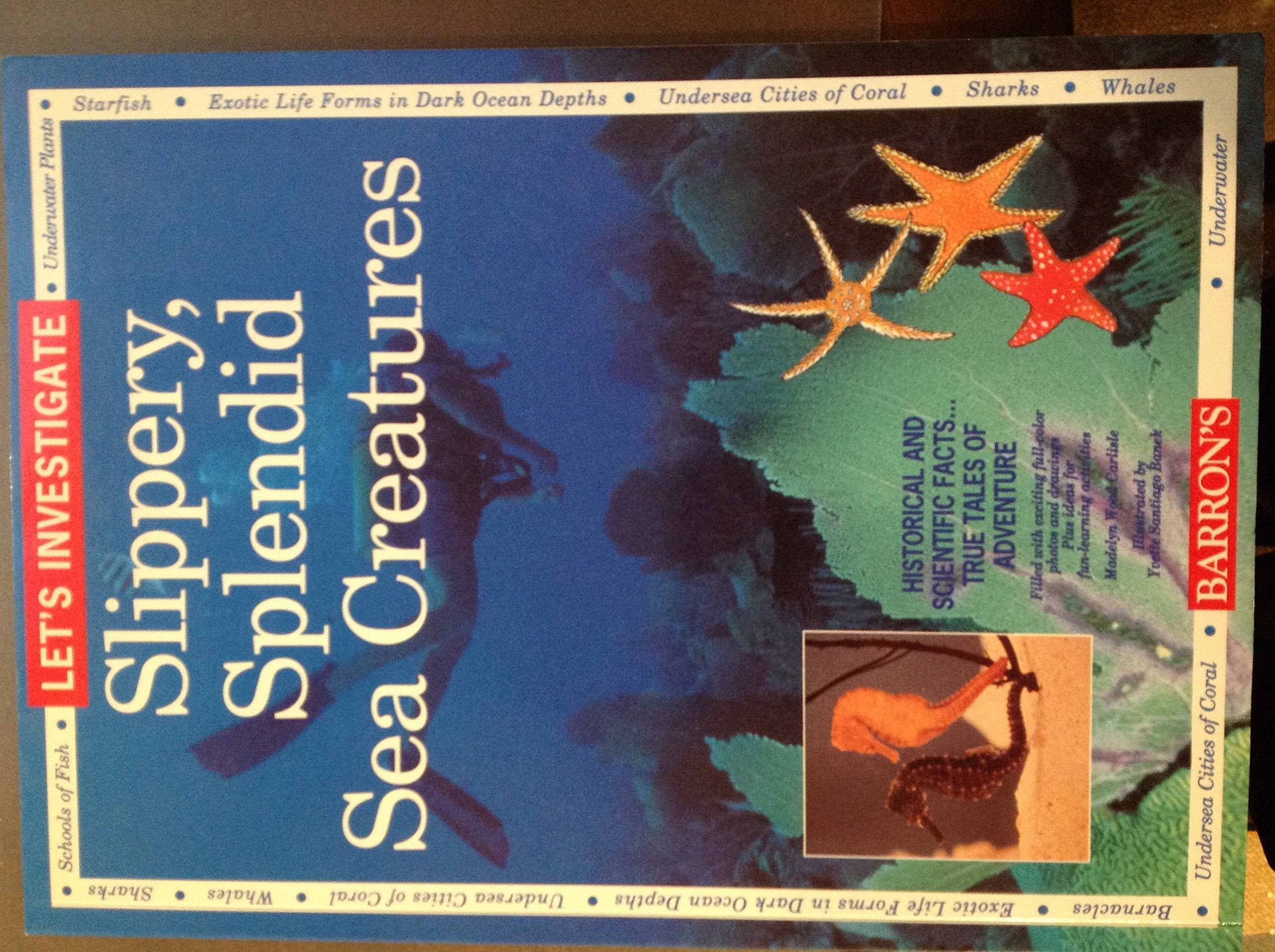Let's Investigate Slippery, Splendid Sea Creatures,Used