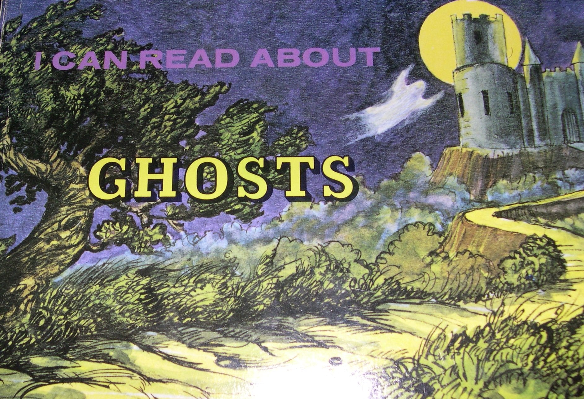 I Can Read About Ghosts,Used