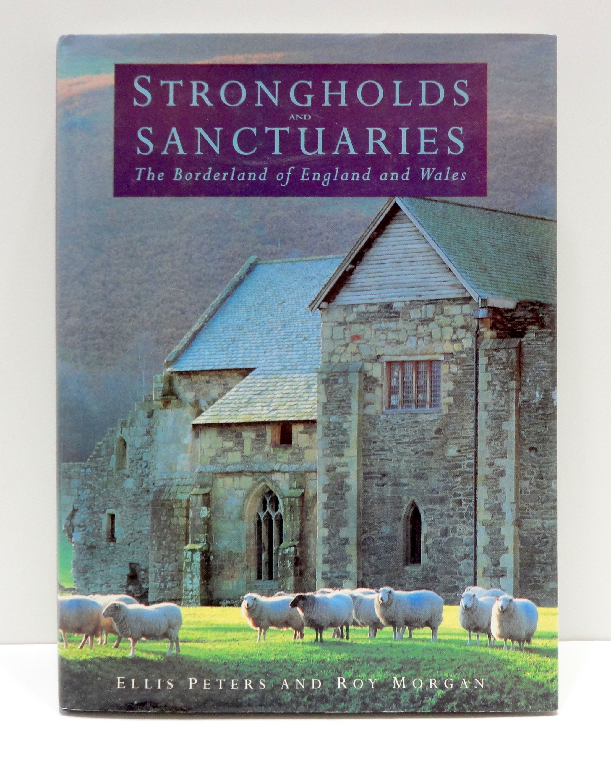 Strongholds and Sanctuaries: The Borderland of England and Wales,Used