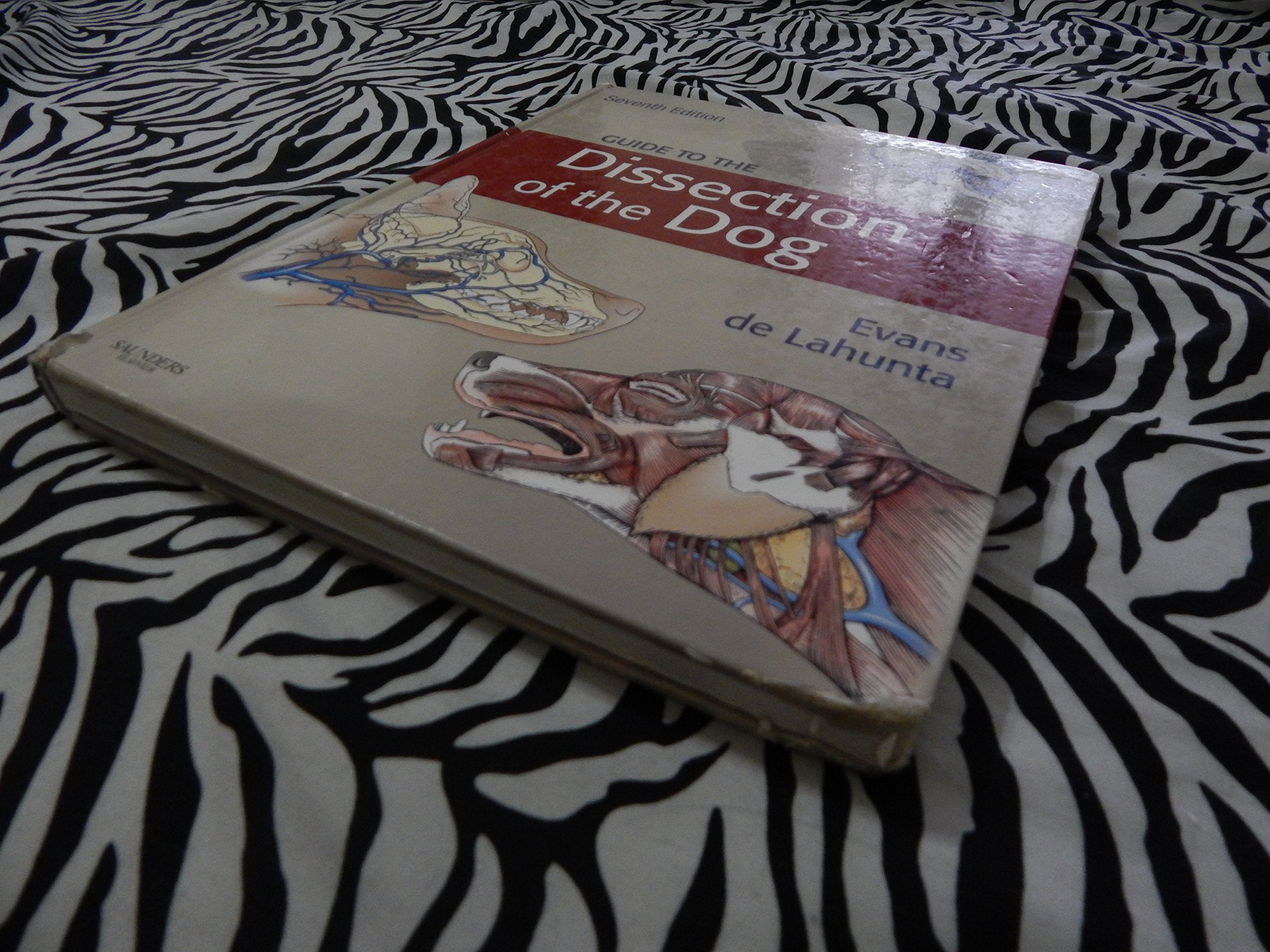 Guide to the Dissection of the Dog,Used