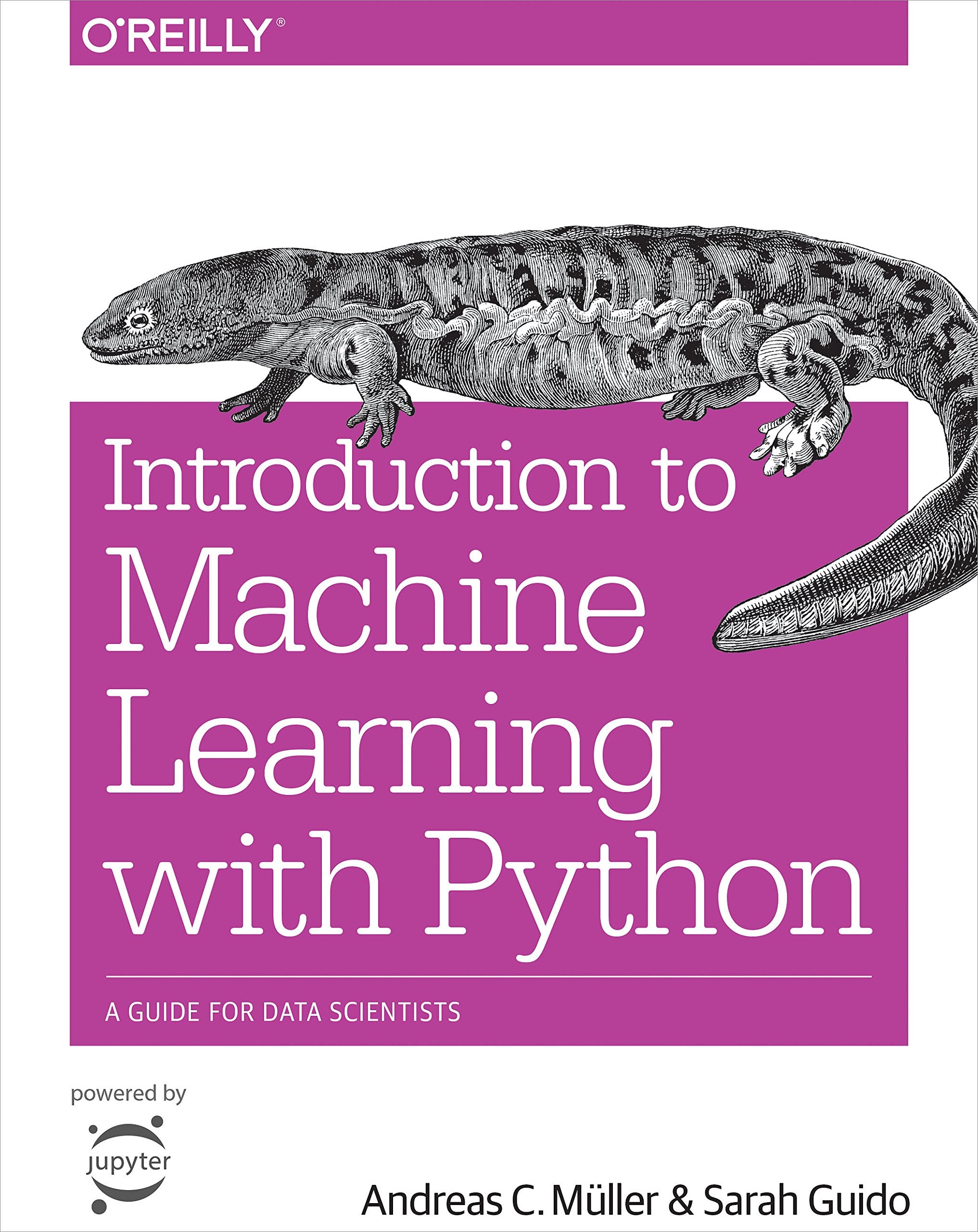 Introduction to Machine Learning with Python: A Guide for Data Scientists,Used