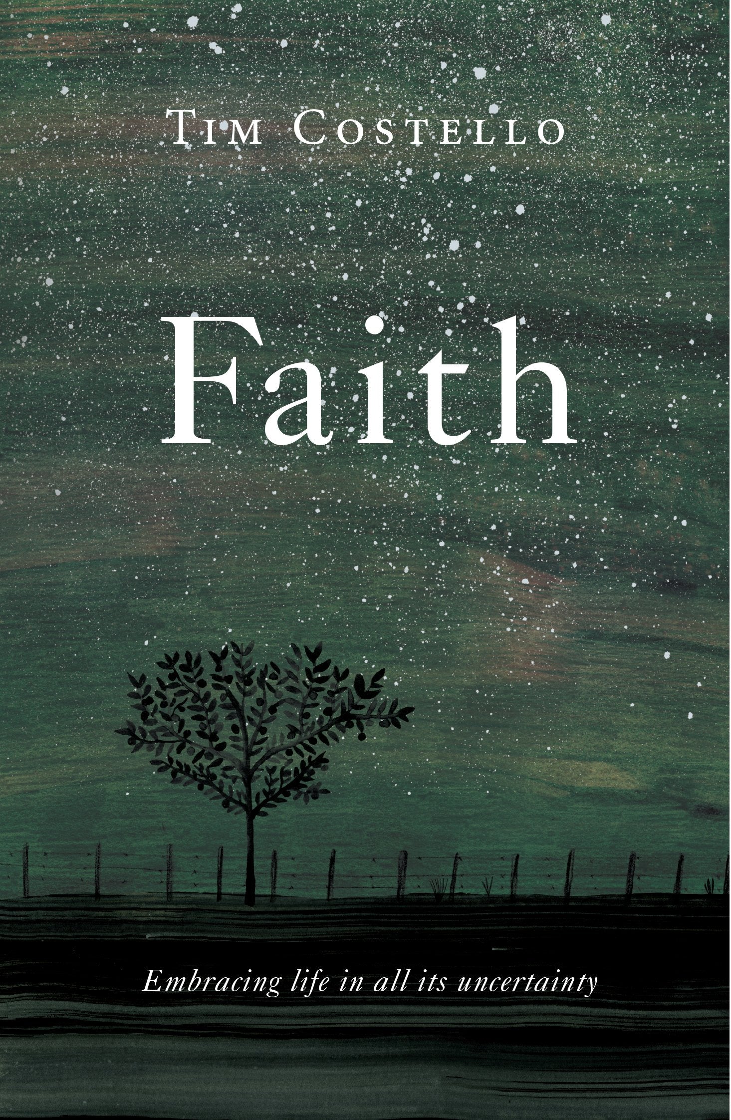 Faith: Embracing Life in All its Uncertainty,Used