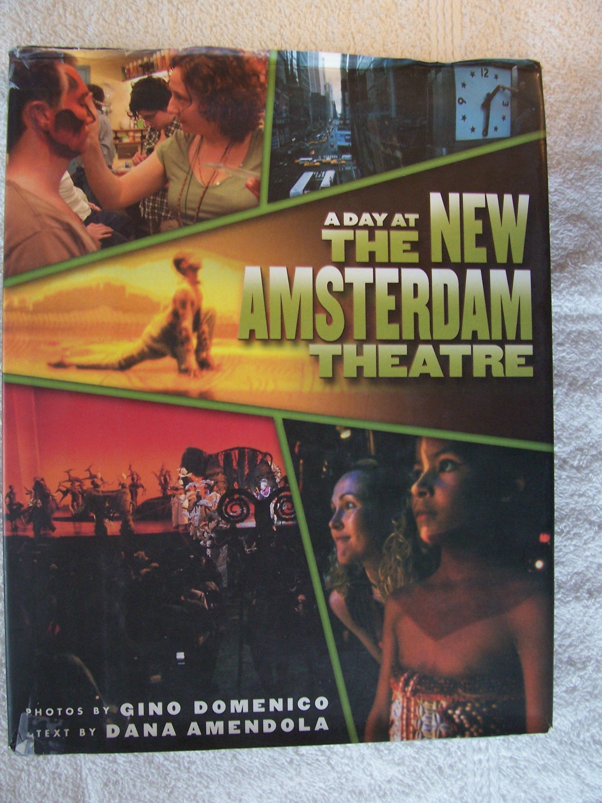 A Day at the New Amsterdam Theatre (Disney),Used