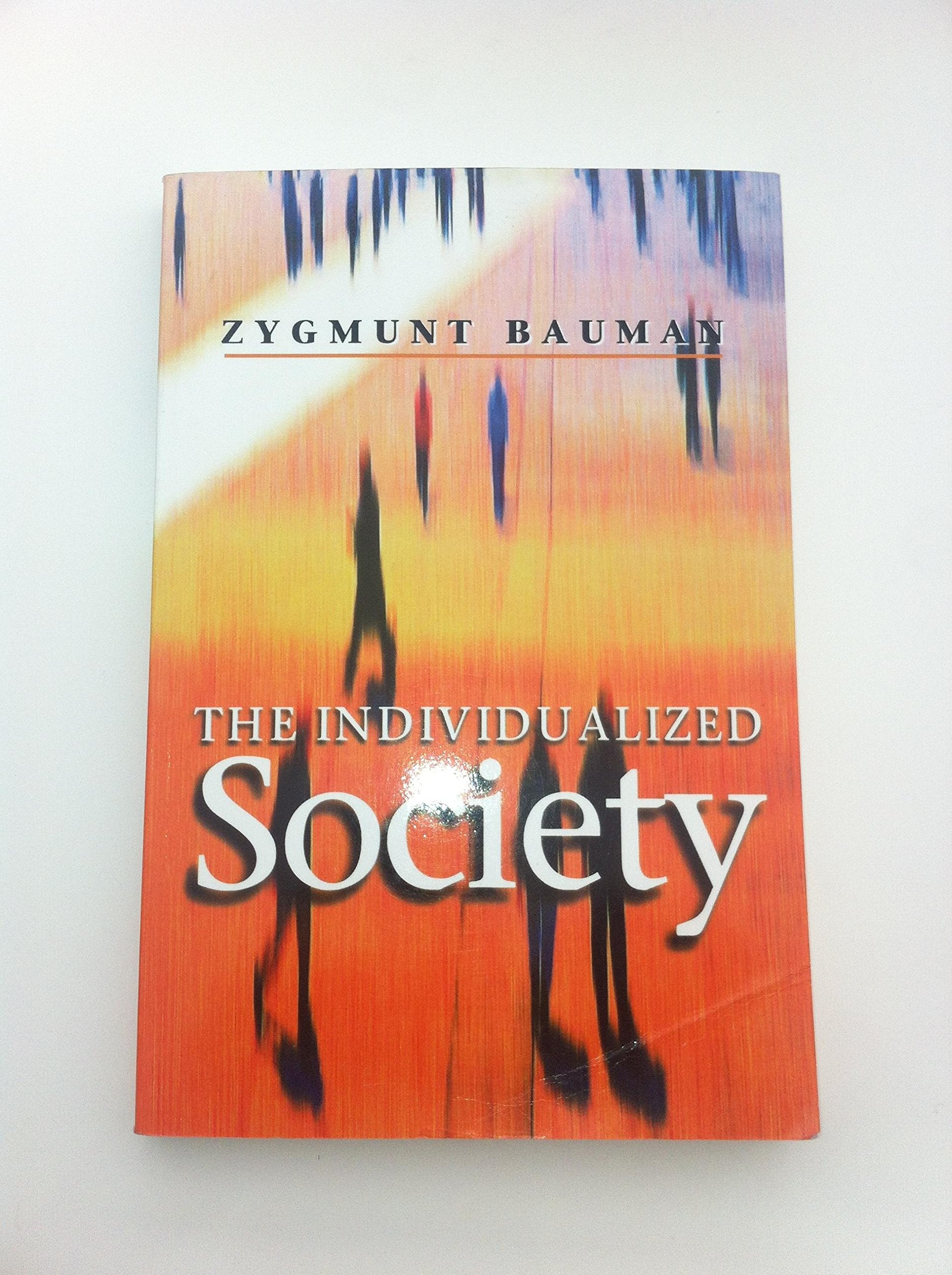 The Individualized Society,New