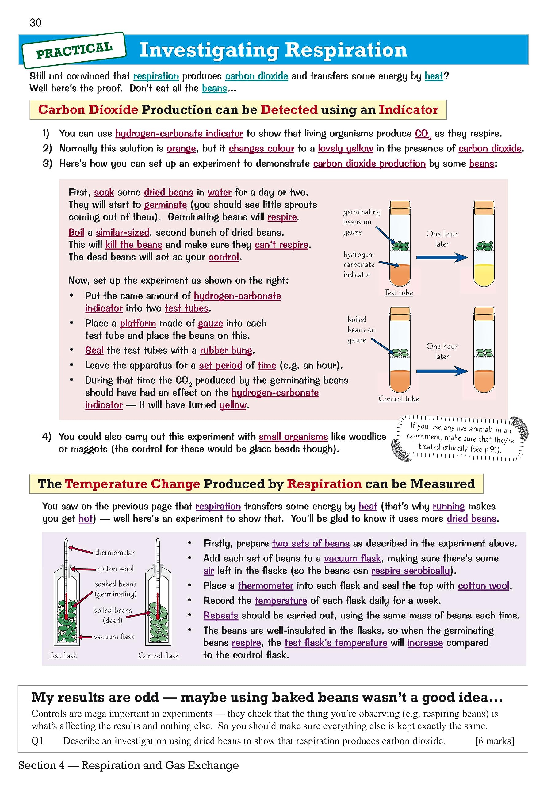 Revision Guide With Online Edition,Used