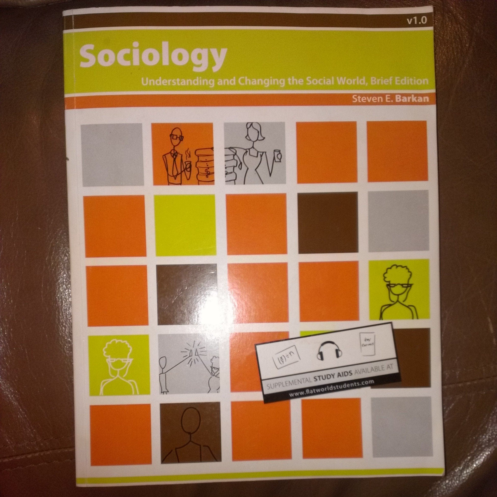 Sociology : Understanding and Changing the Social World,Used