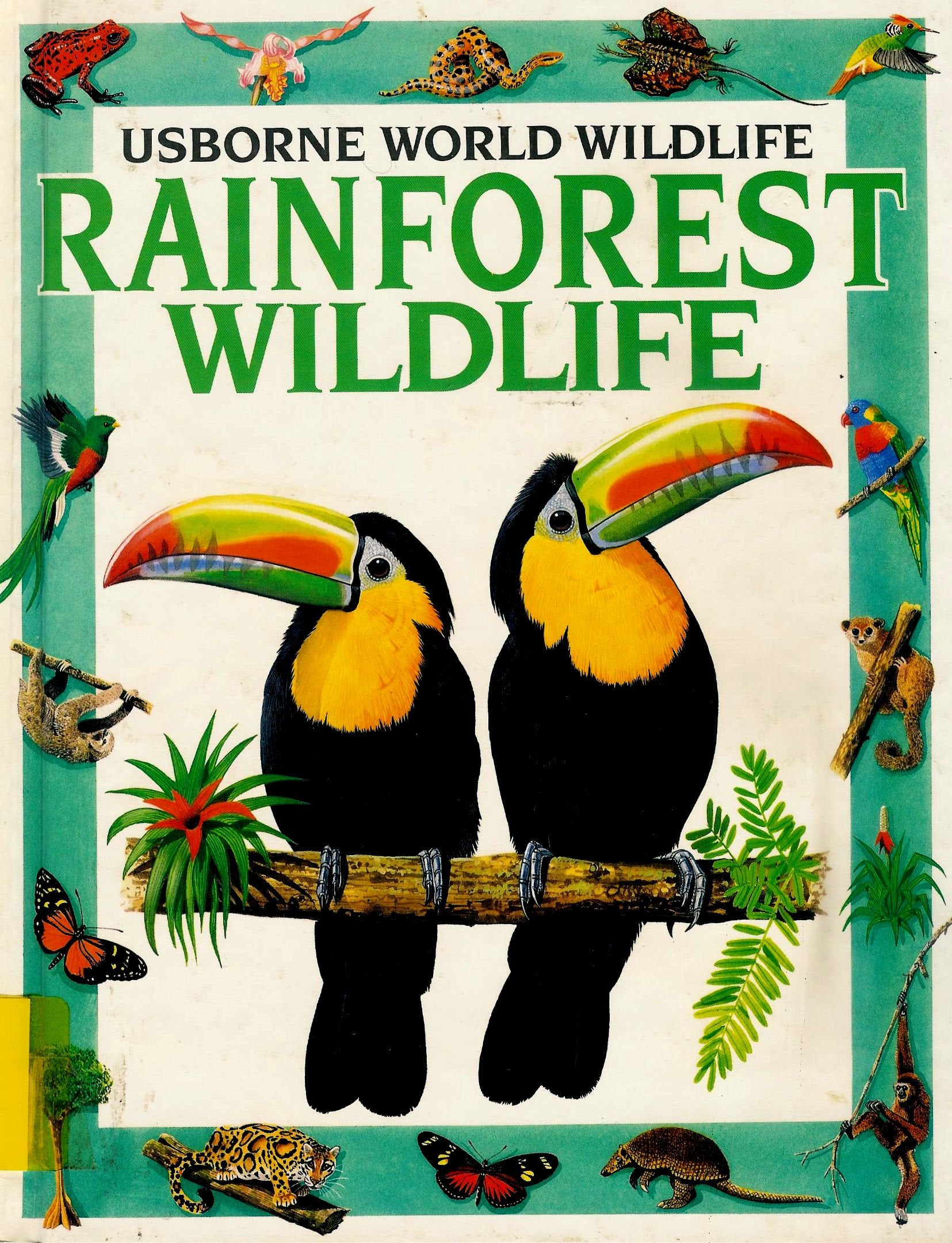 Rainforest Wildlife (World Wildlife Series),Used
