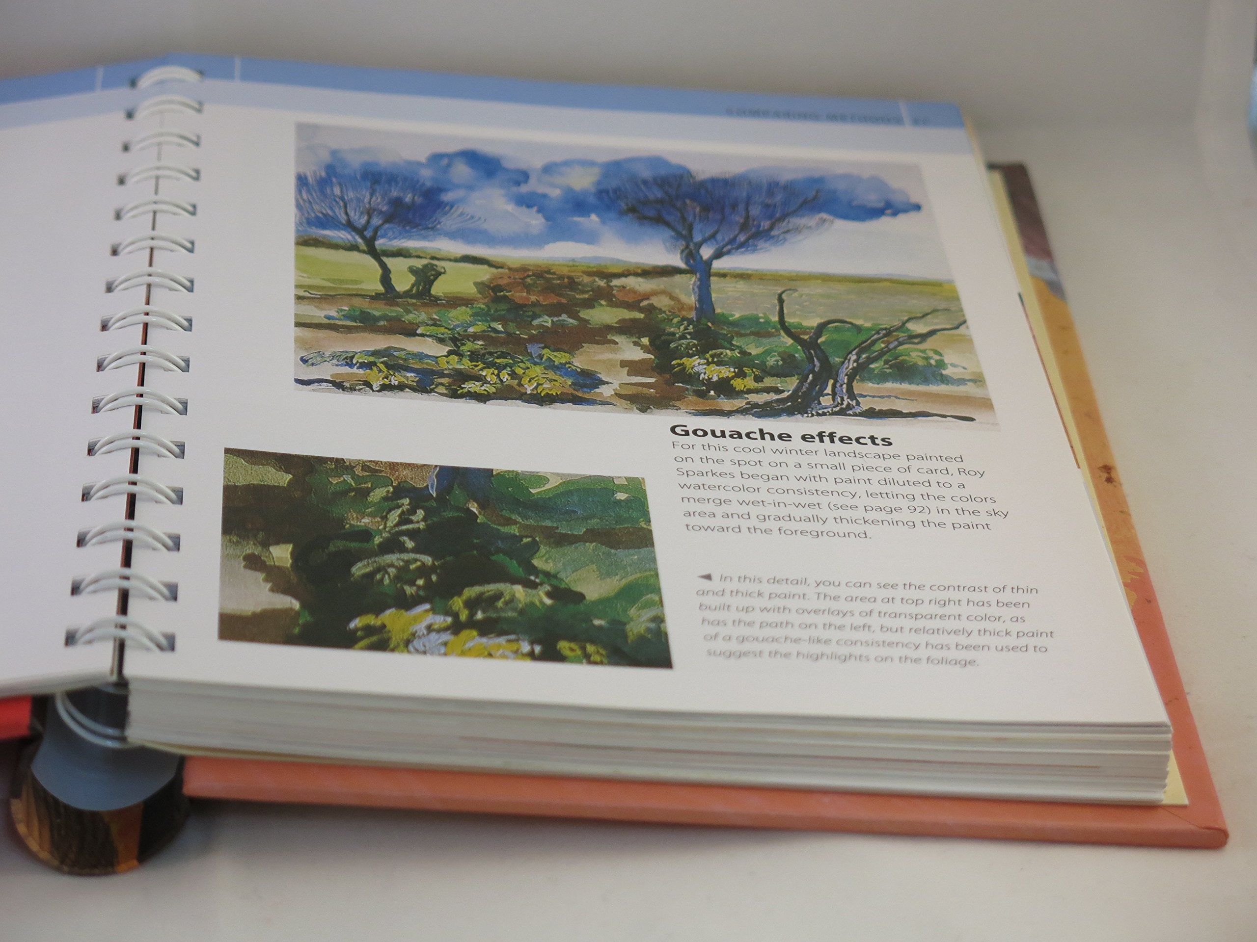Acrylic Artist's Bible (Artist's Bibles),Used