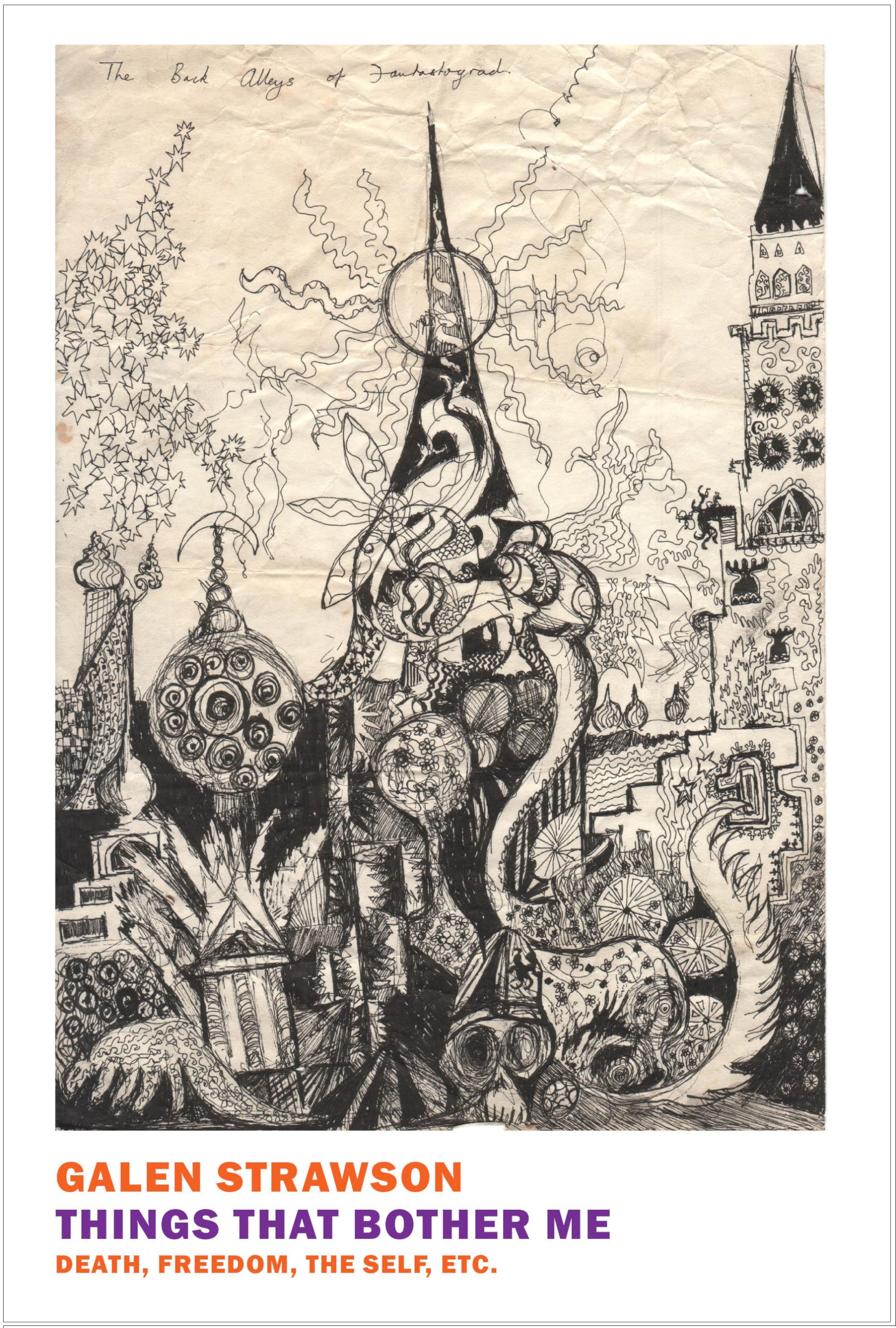 Things That Bother Me: Death, Freedom, the Self, Etc.,Used