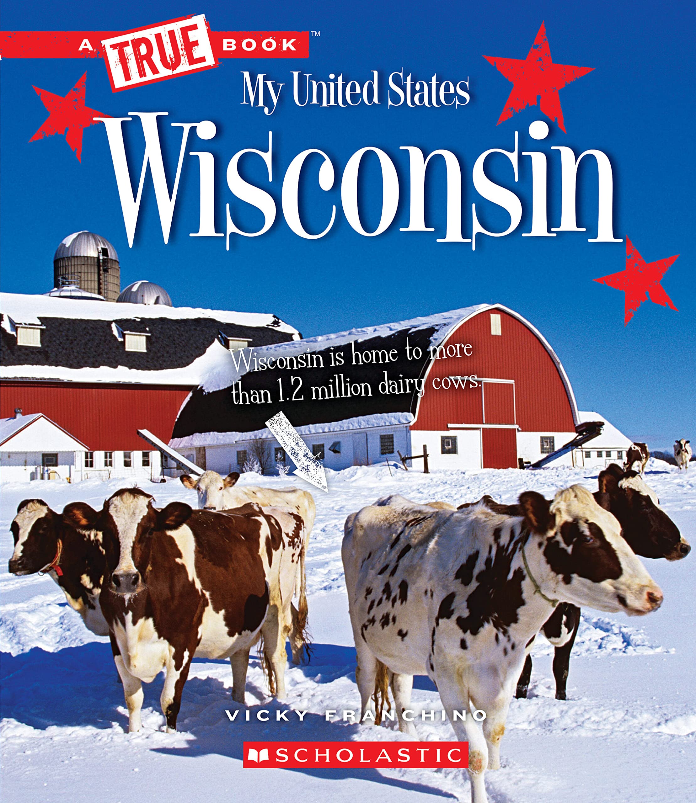 Wisconsin (A True Book: My United States) (A True Book (Relaunch)),Used