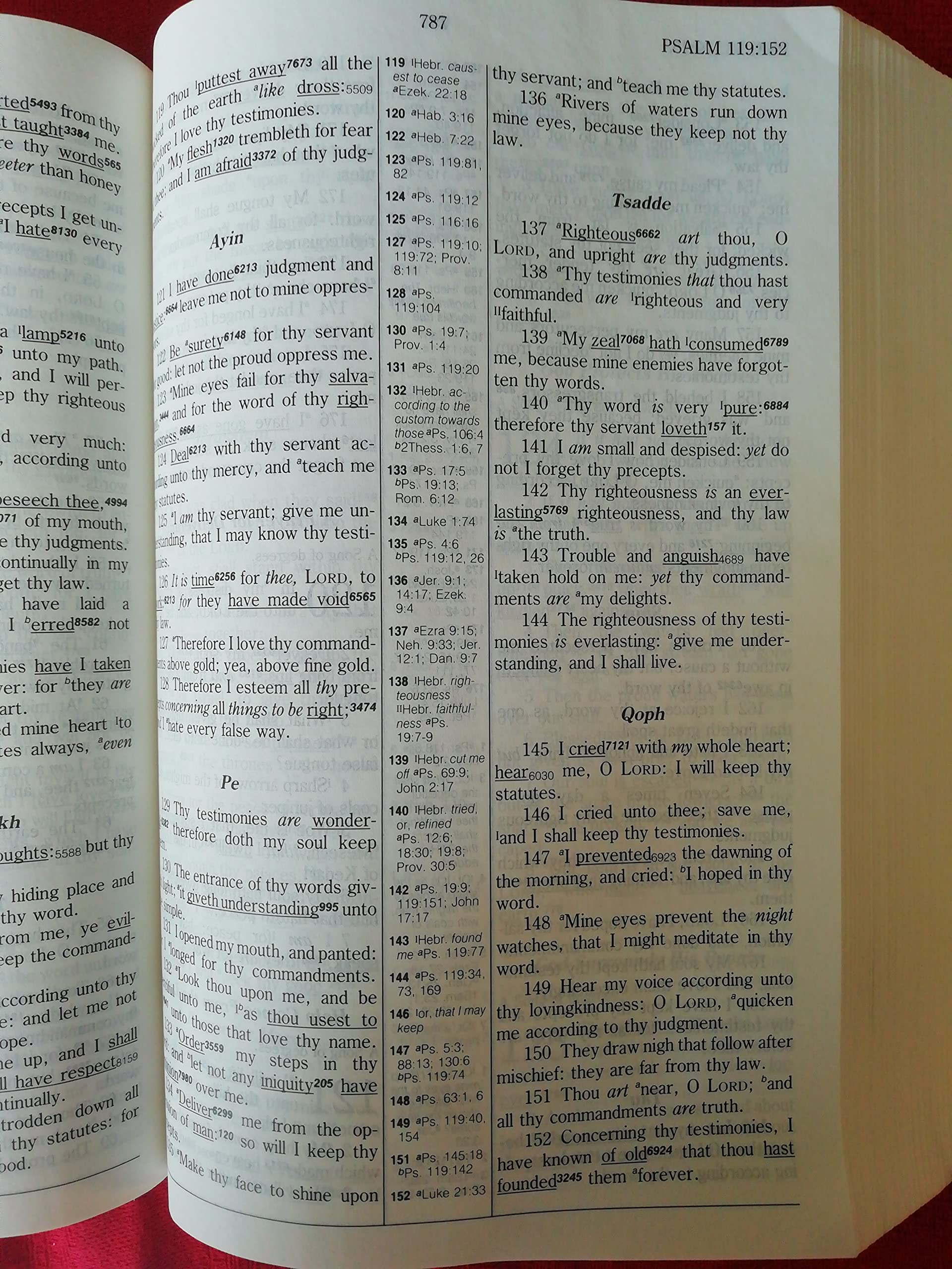 HebrewGreek Key Study Bible: King James Version,Used