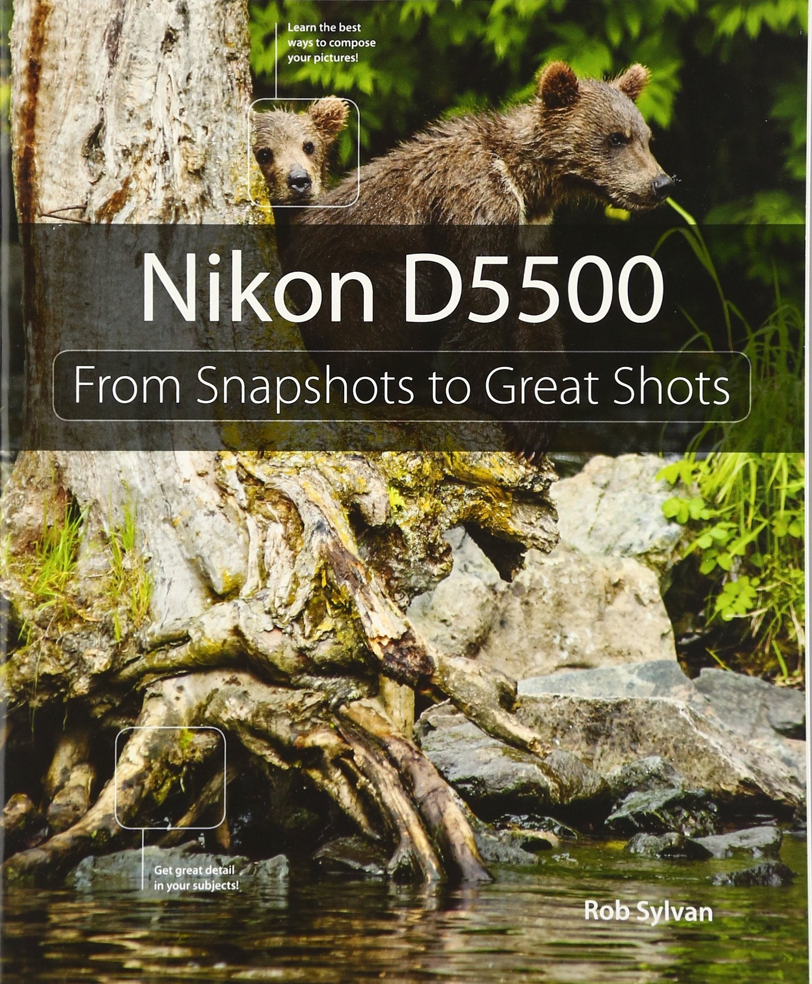 Nikon D5500: From Snapshots to Great Shots,Used