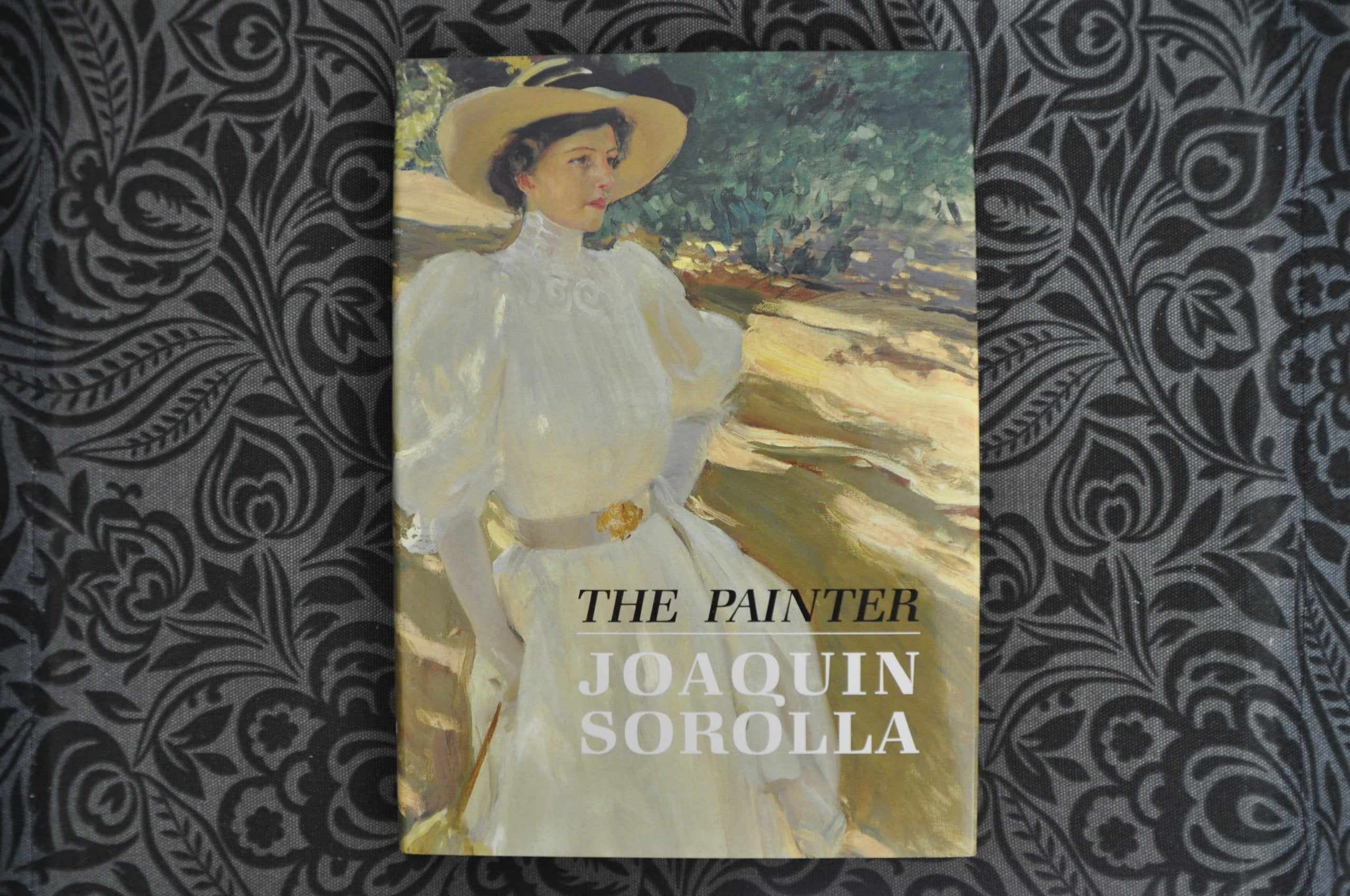 The Painter: Joaquin Sorolla Y Bastida,Used
