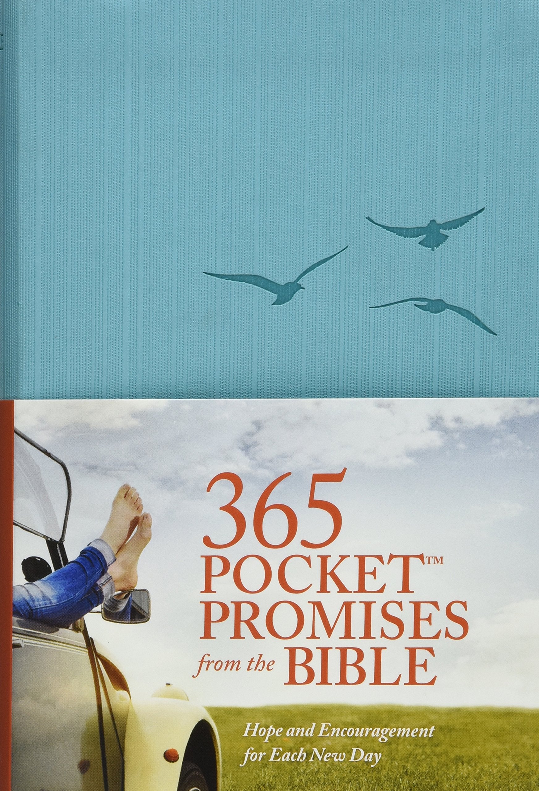 365 Pocket Promises from the Bible: Hope and Encouragement for Each New Day,Used