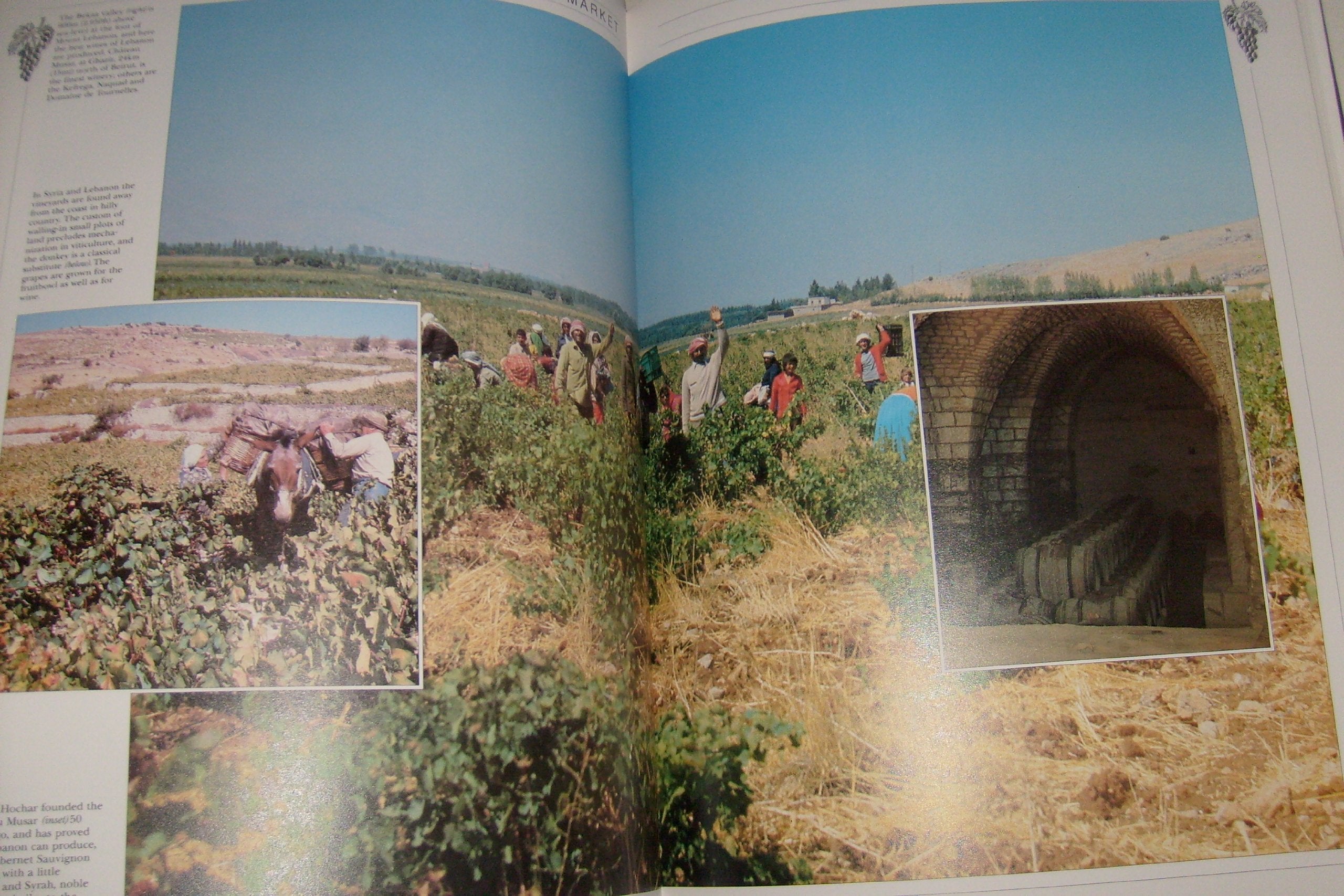 Book of Wine,Used