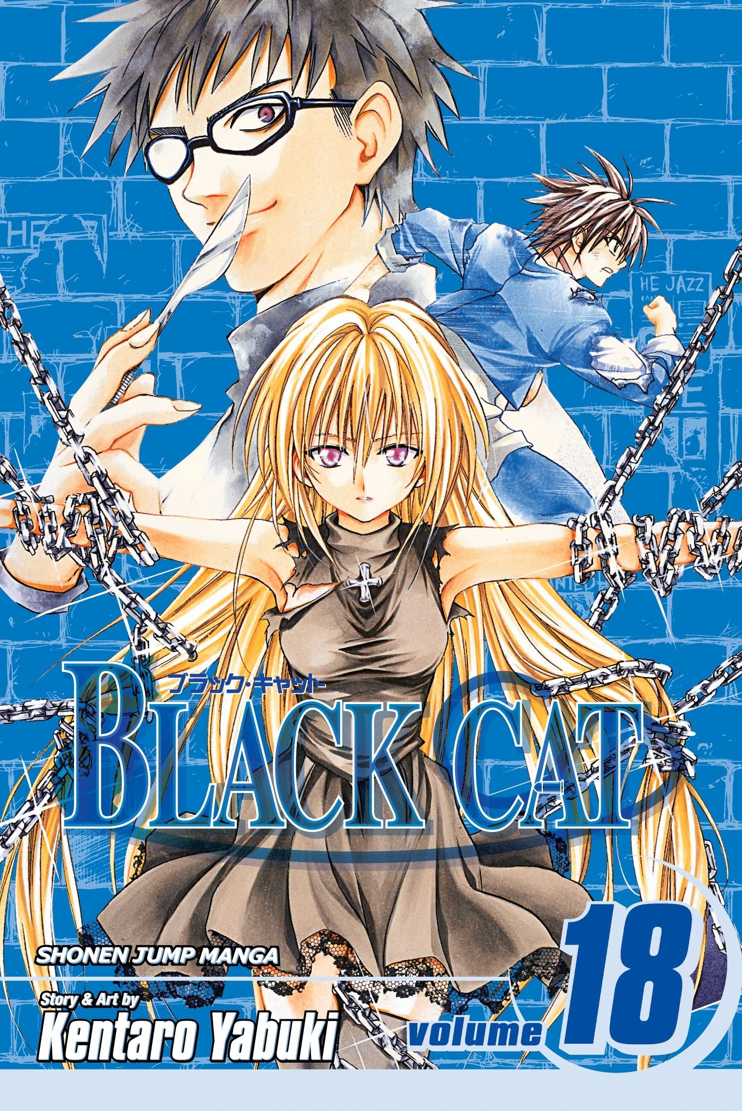 Black Cat, Vol. 18,Used