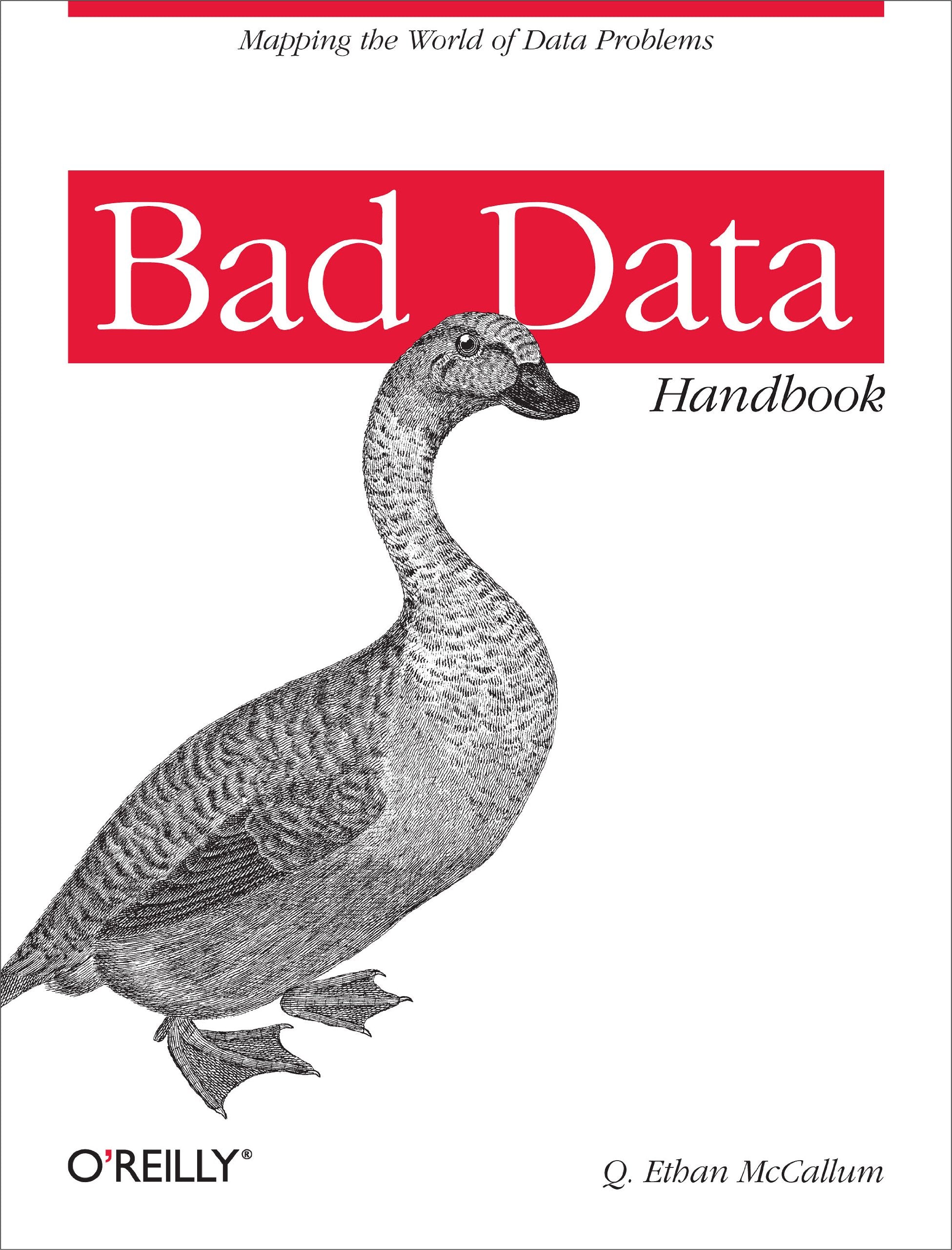 Bad Data Handbook,Used