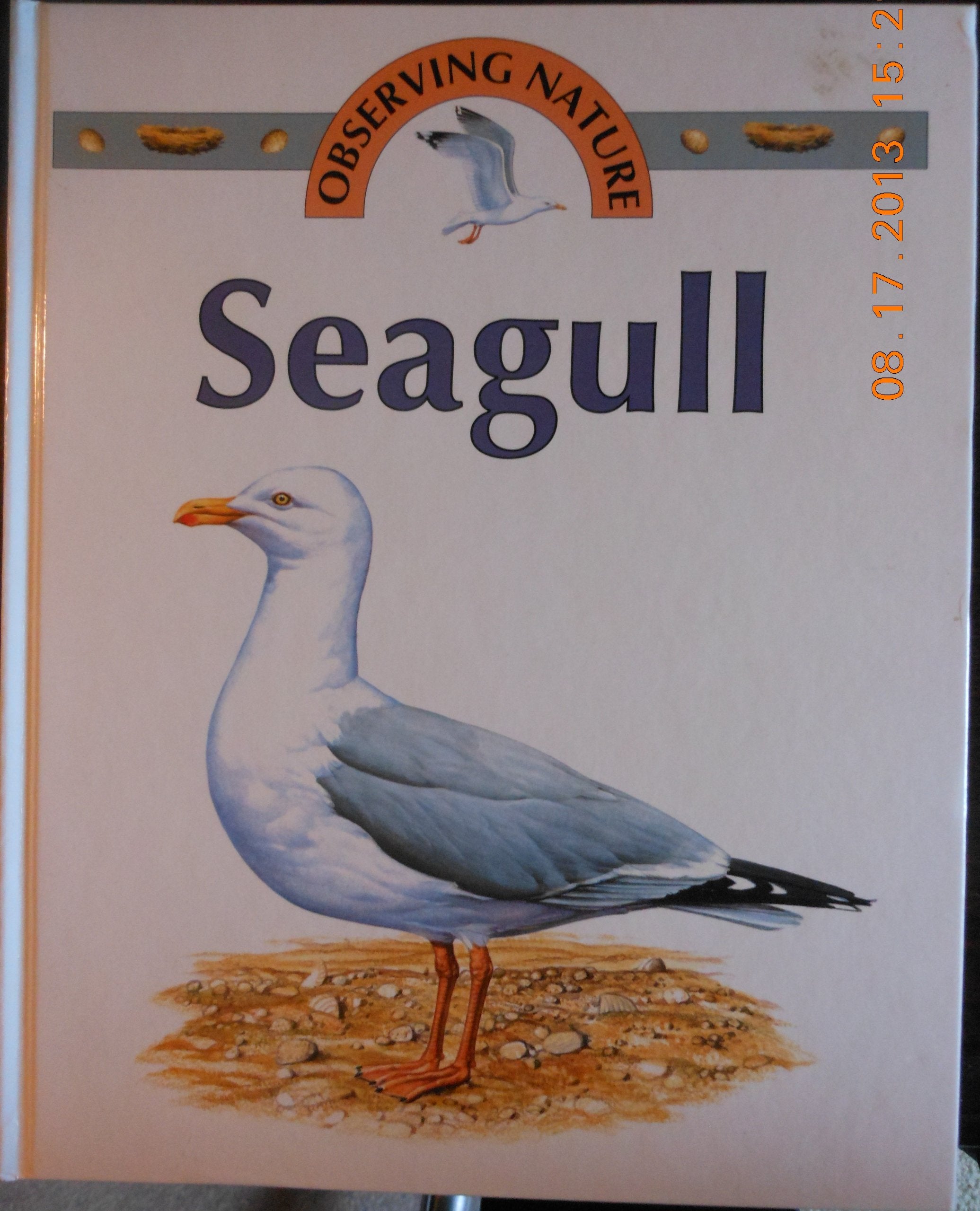Seagull (Observing Nature),Used
