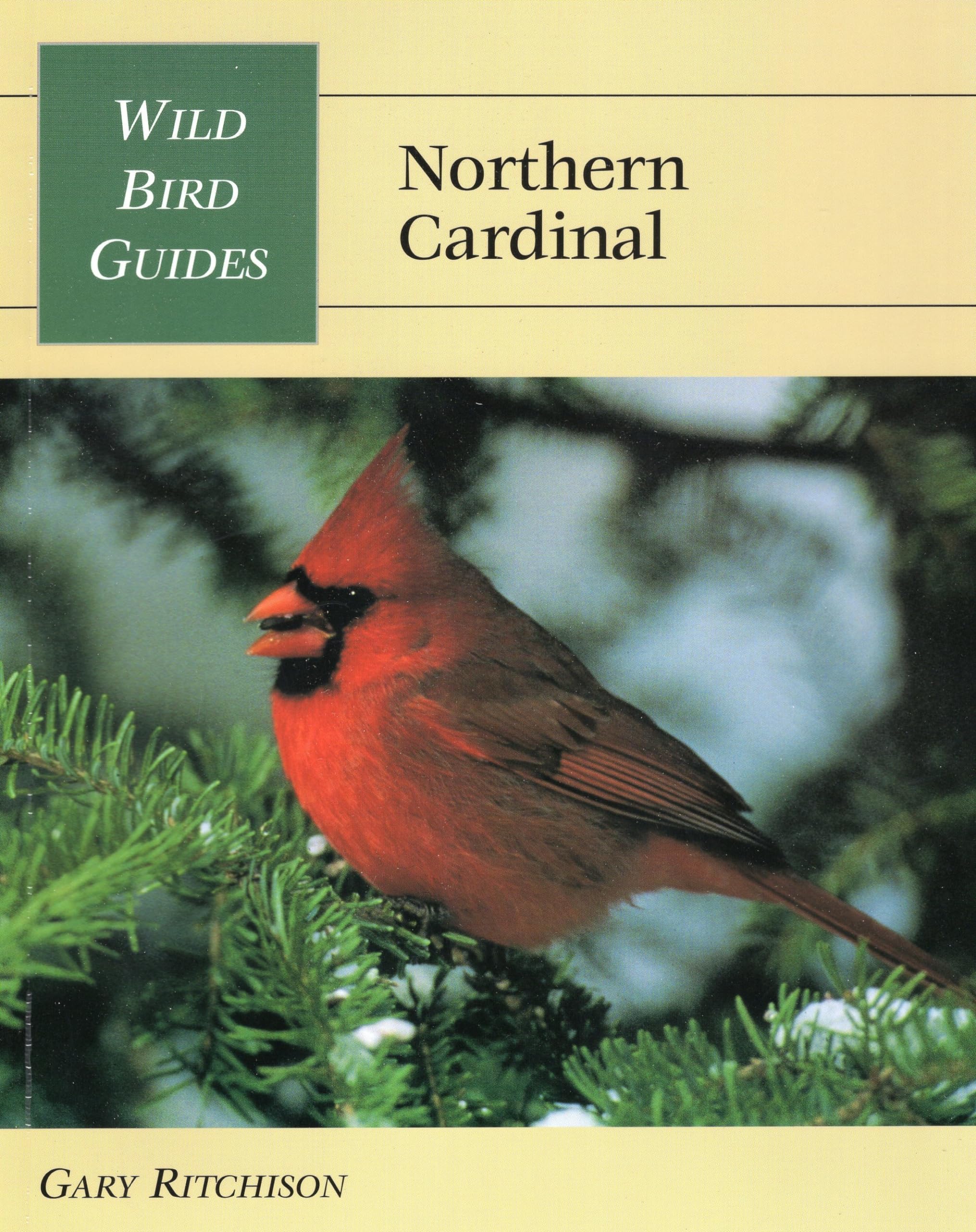 Wild Bird Guide: Northern Cardinal (Wild Bird Guides),New