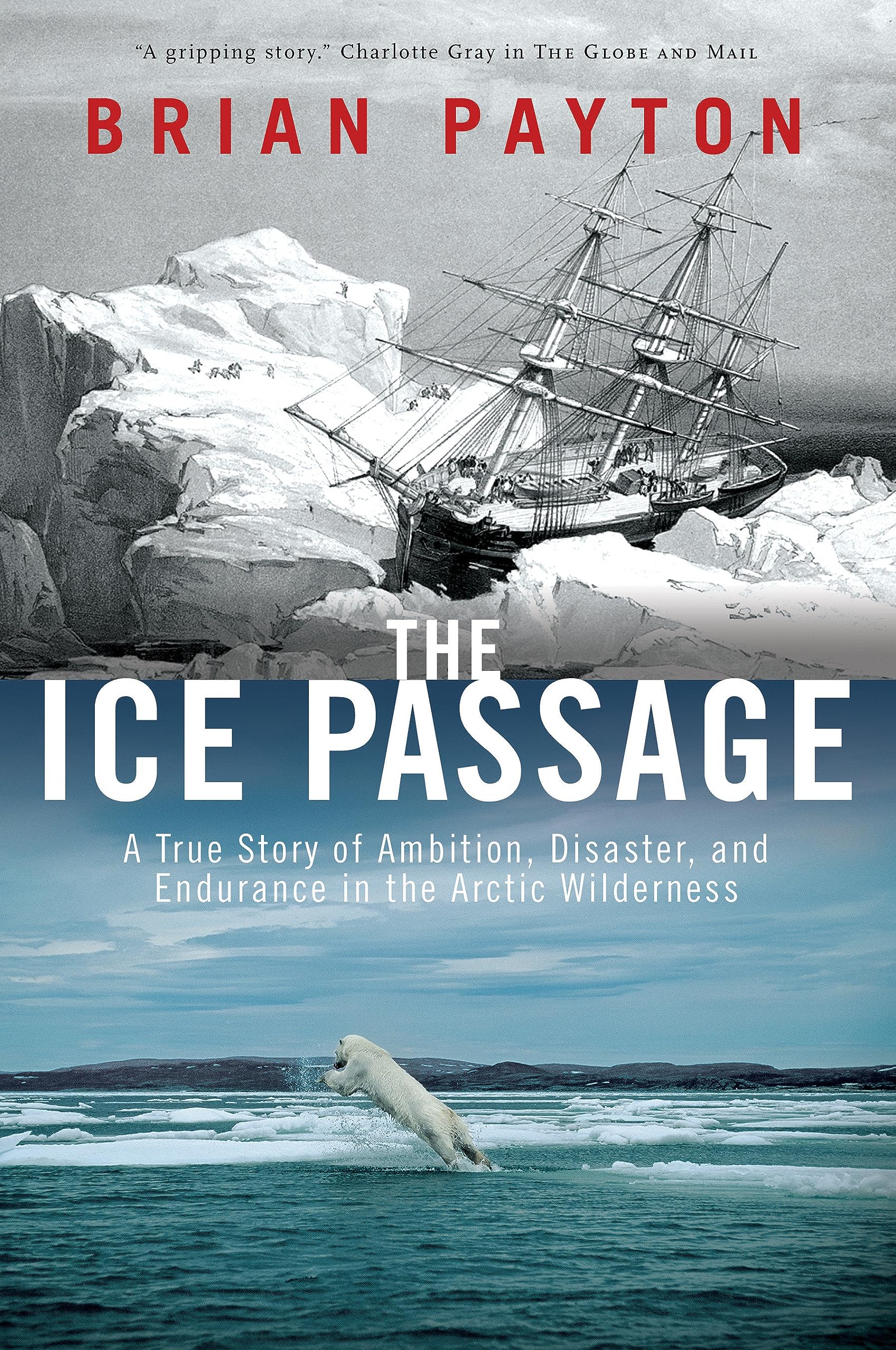 The Ice Passage: A True Story of Ambition, Disaster, and Endurance in the Arctic Wilderness,New