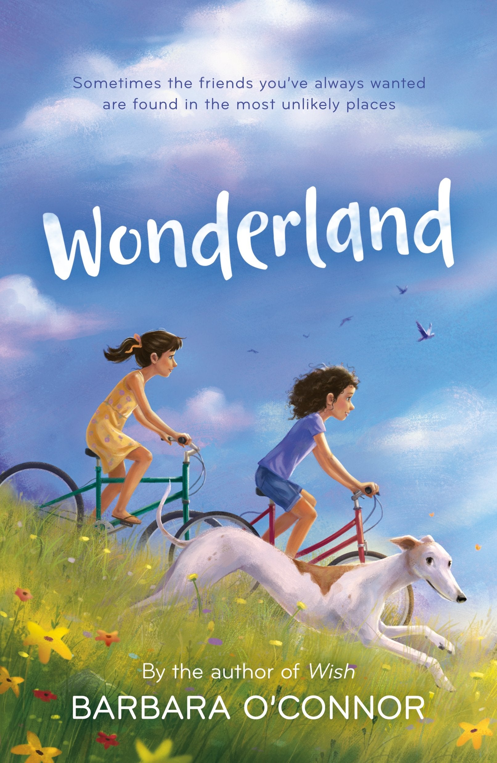 Wonderland: A Novel,Used