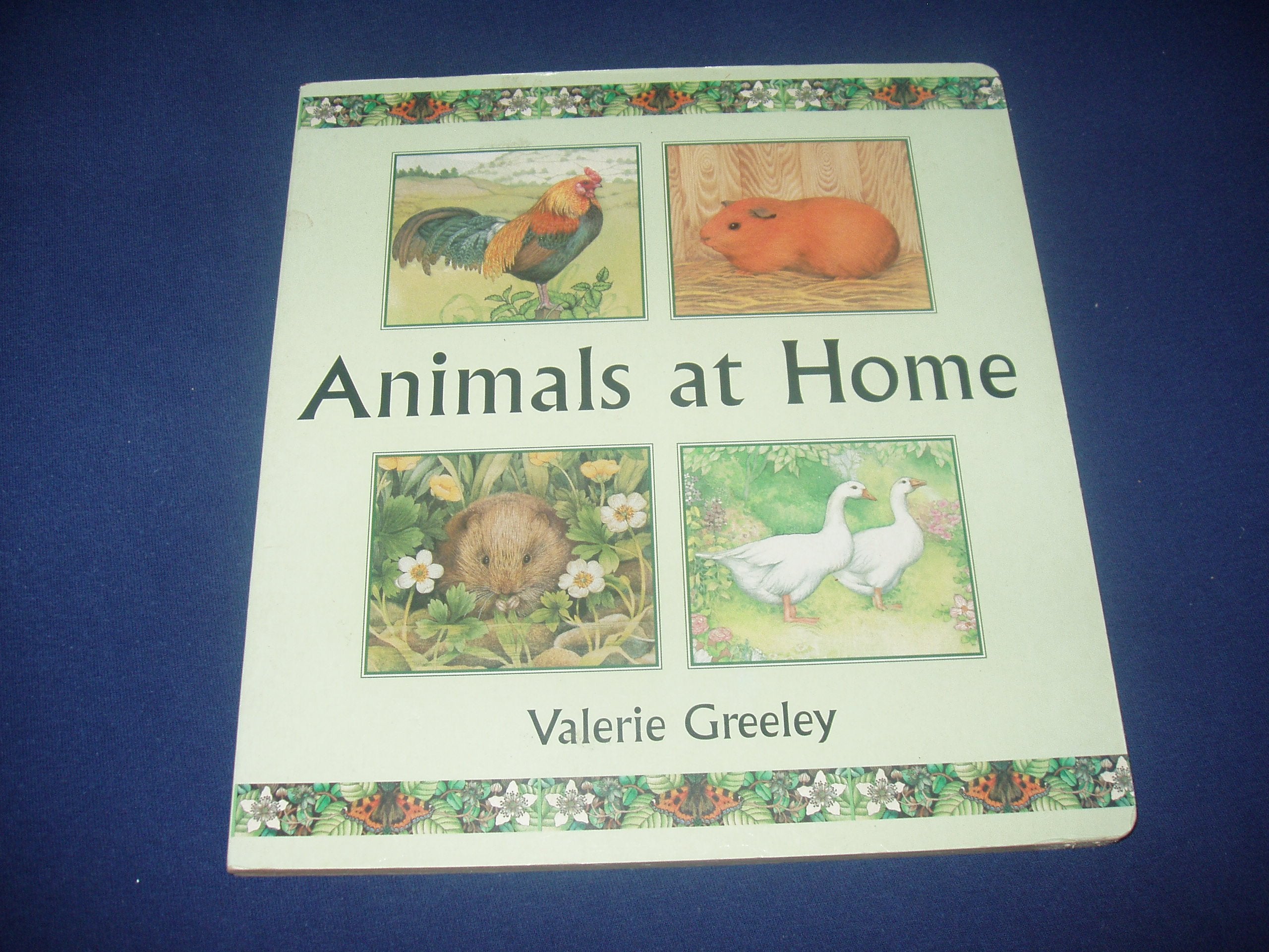 Animals at Home (Blackie Big Board Book),Used