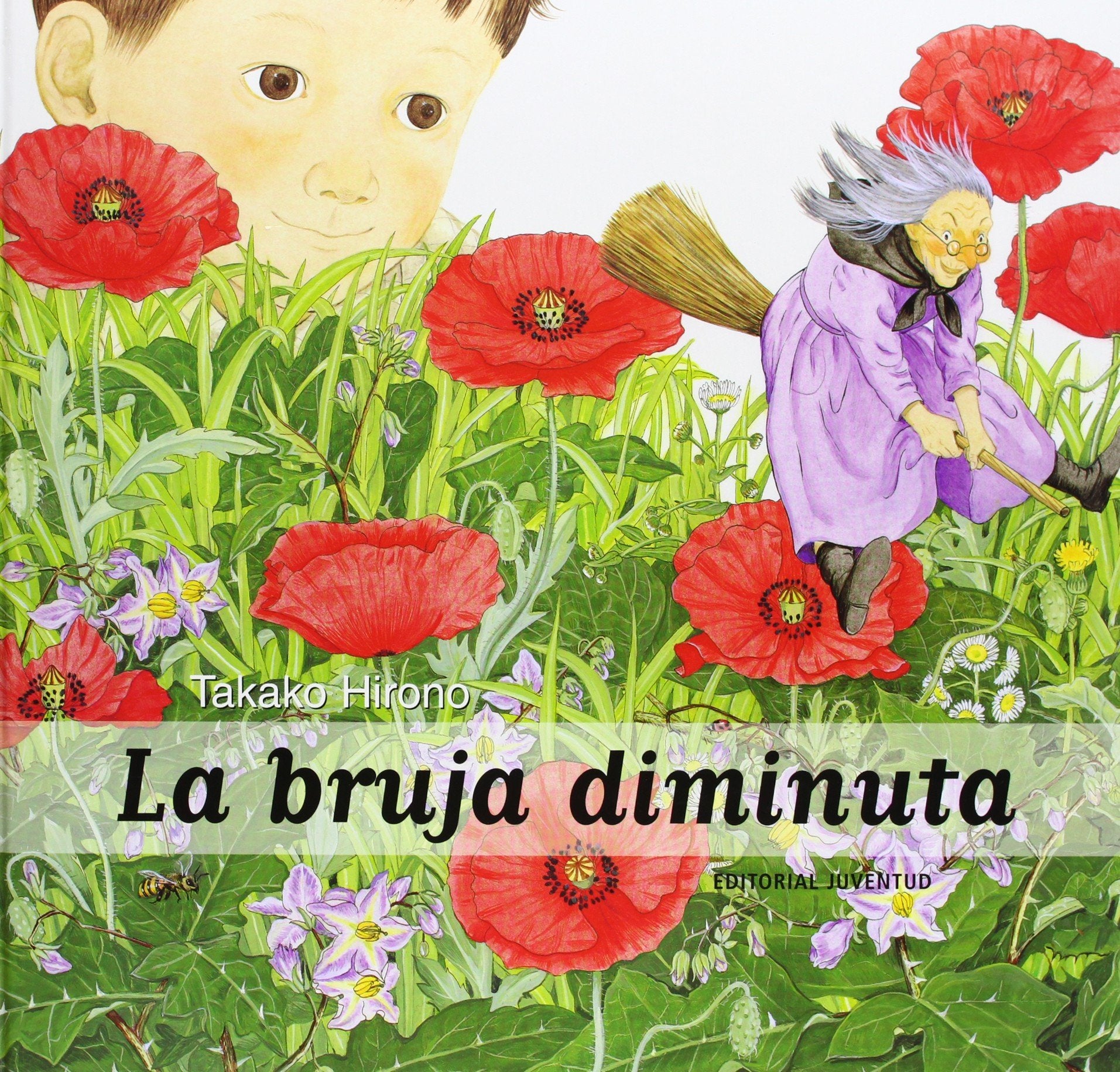 La bruja diminuta (Spanish Edition),Used