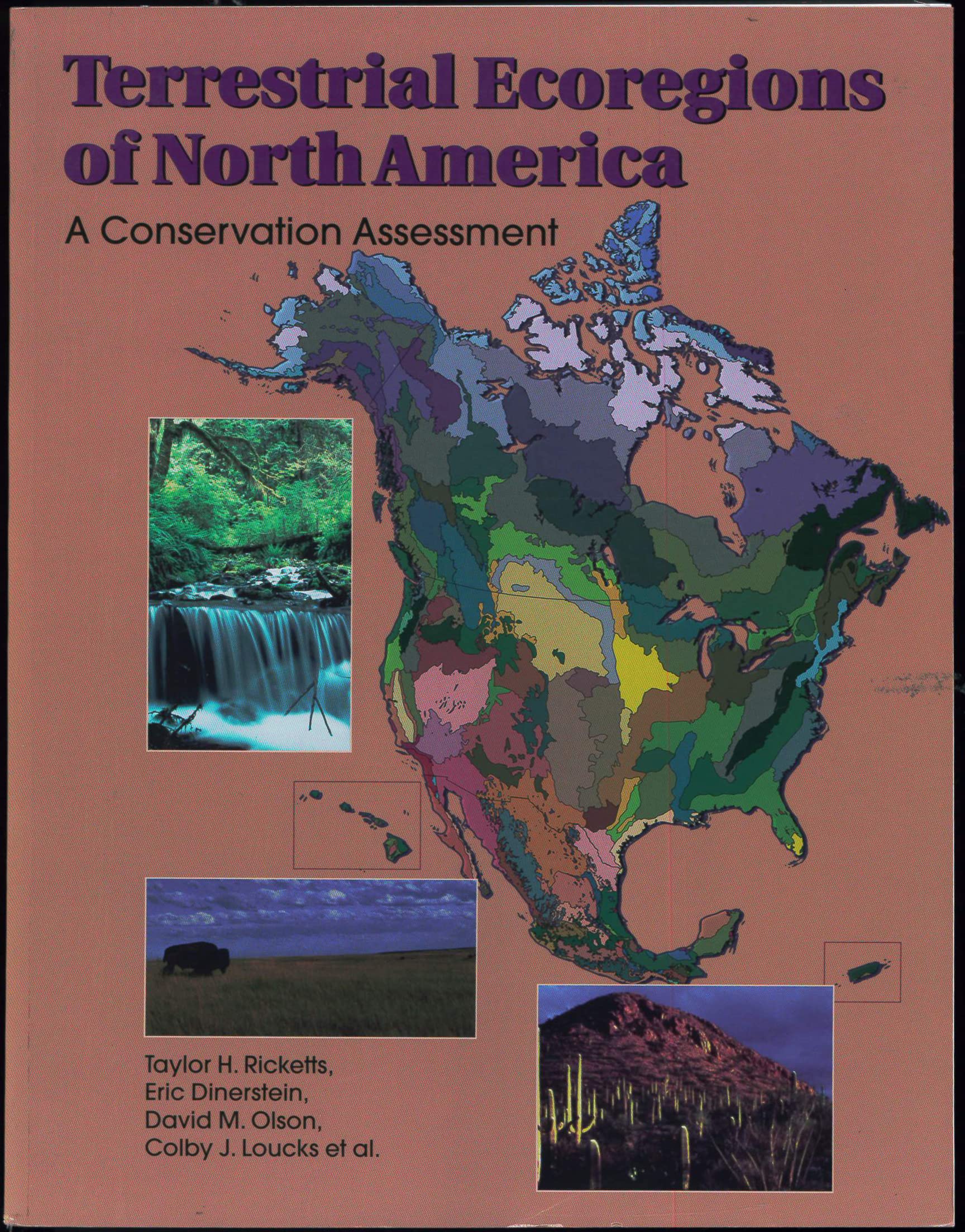 Terrestrial Ecoregions of North America: A Conservation Assessment (Volume 1) (World Wildlife Fund Ecoregion Assessments),Used