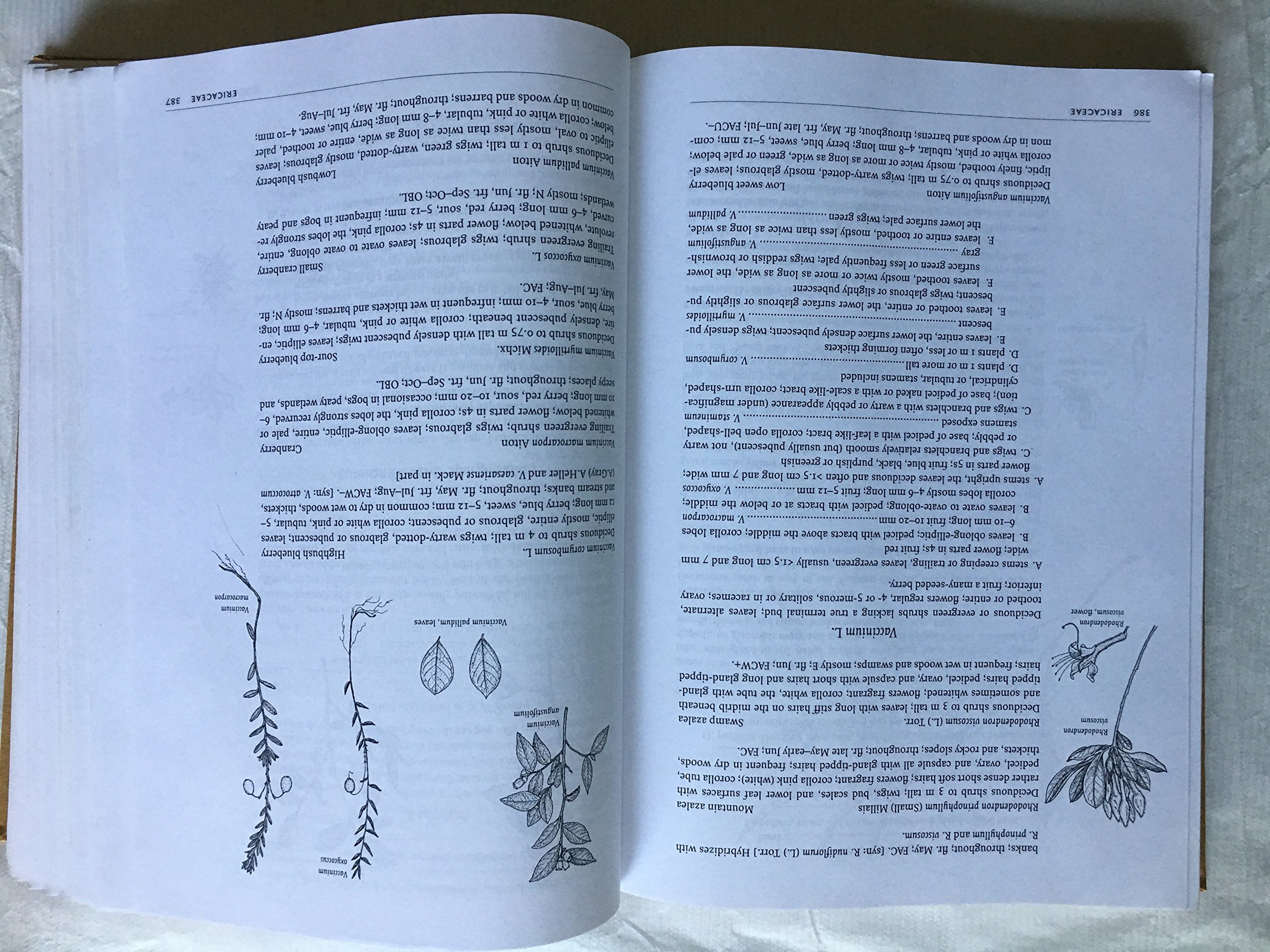 The Plants Of Pennsylvania: An Illustrated Manual,Used