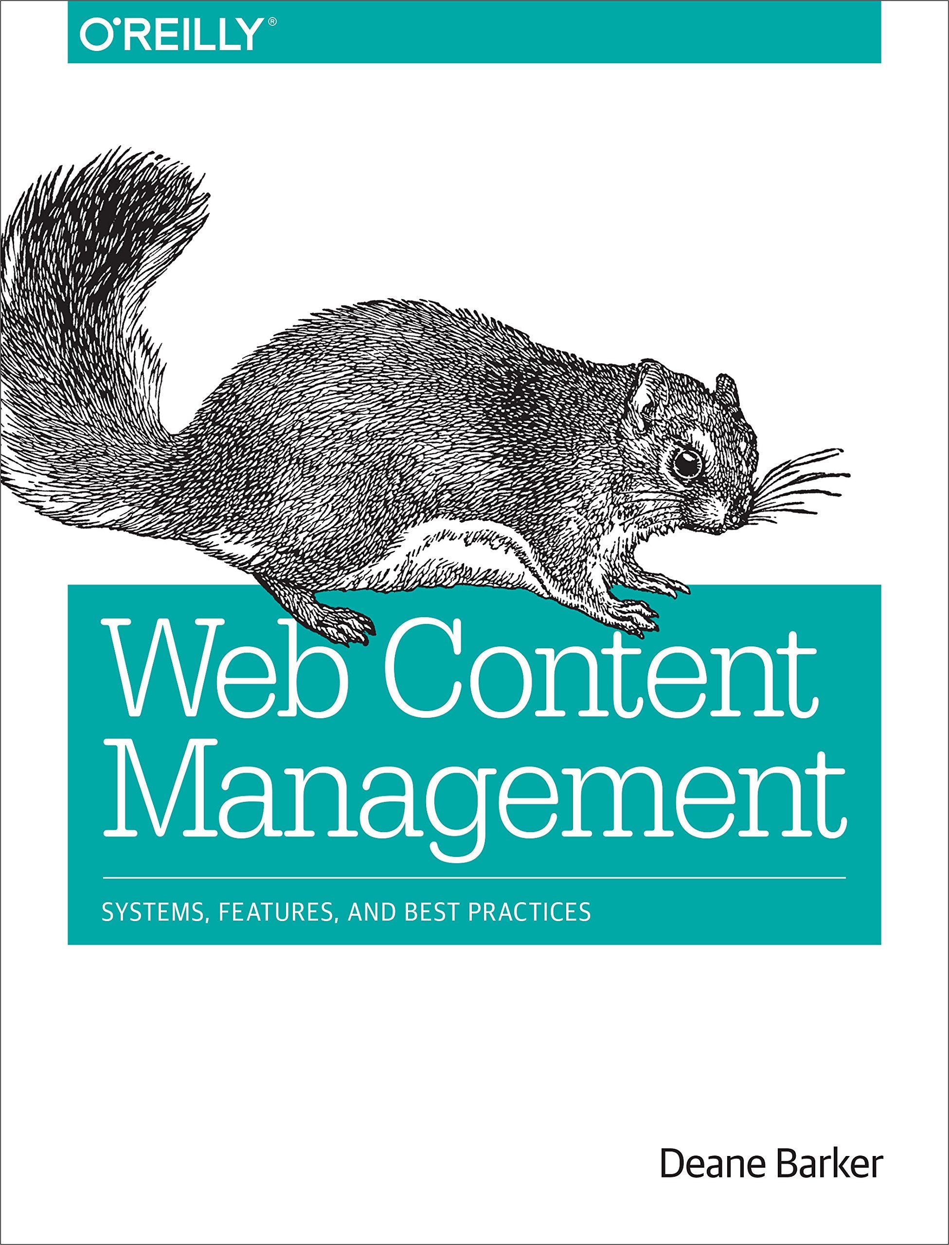 Web Content Management: Systems, Features, and Best Practices,Used