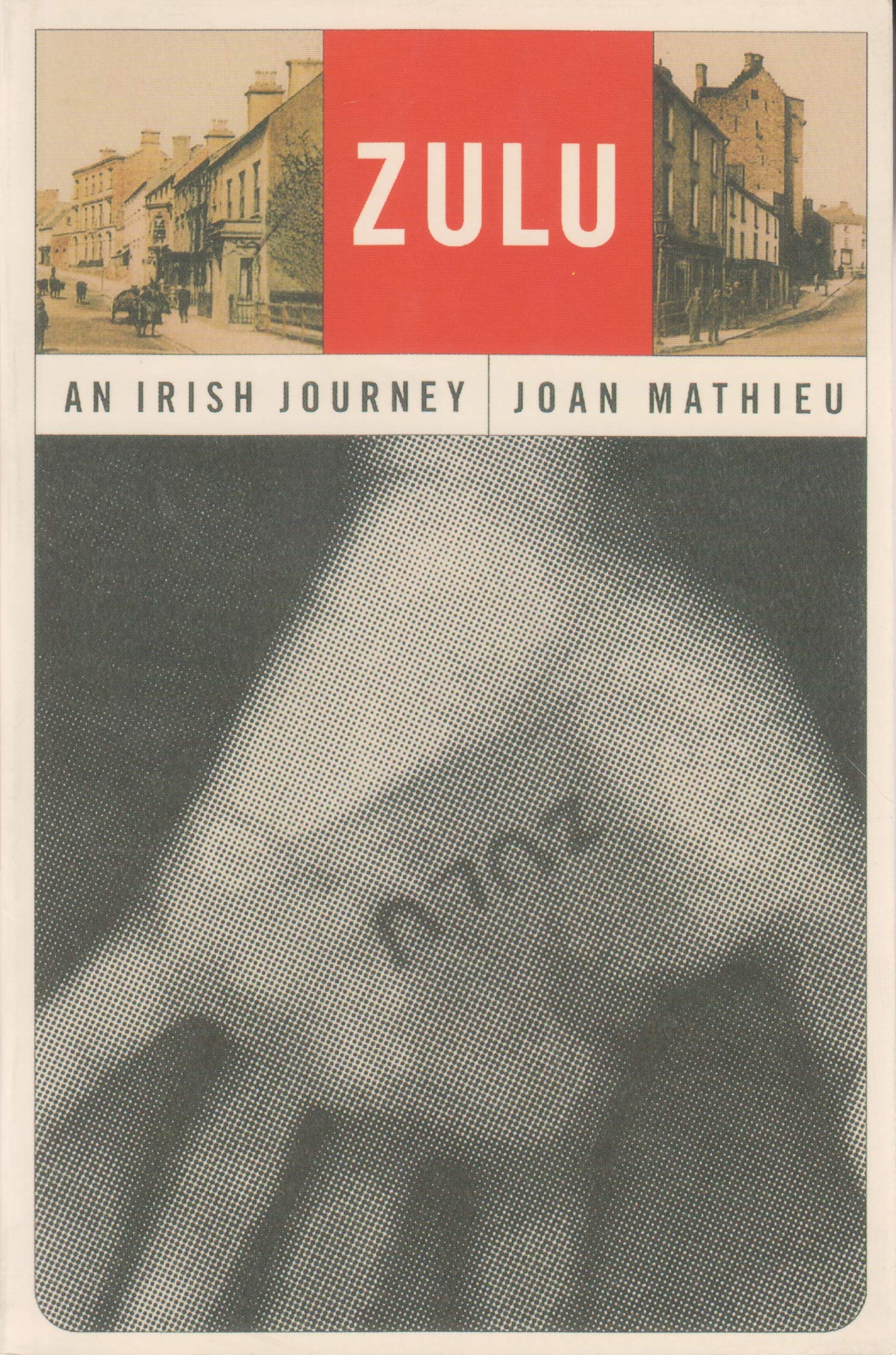 Zulu: An Irish Journey (Irish Studies),Used