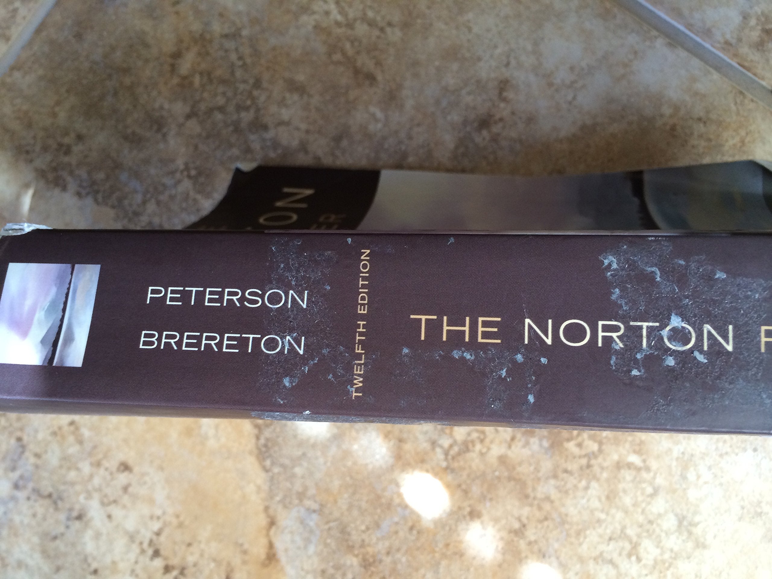 The Norton Reader: An Anthology of Nonfiction,New