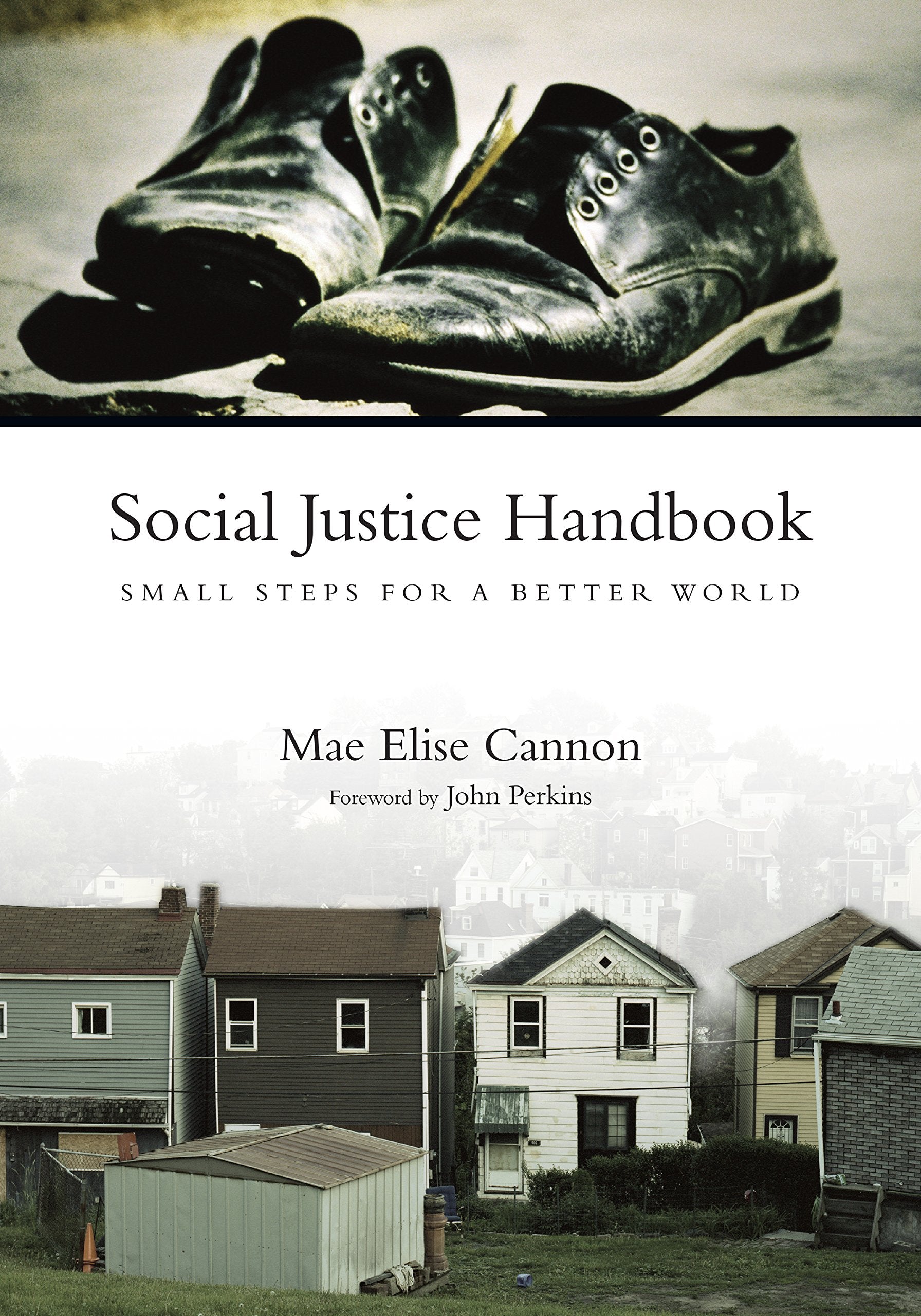 Social Justice Handbook: Small Steps for a Better World (BridgeLeader Books),Used