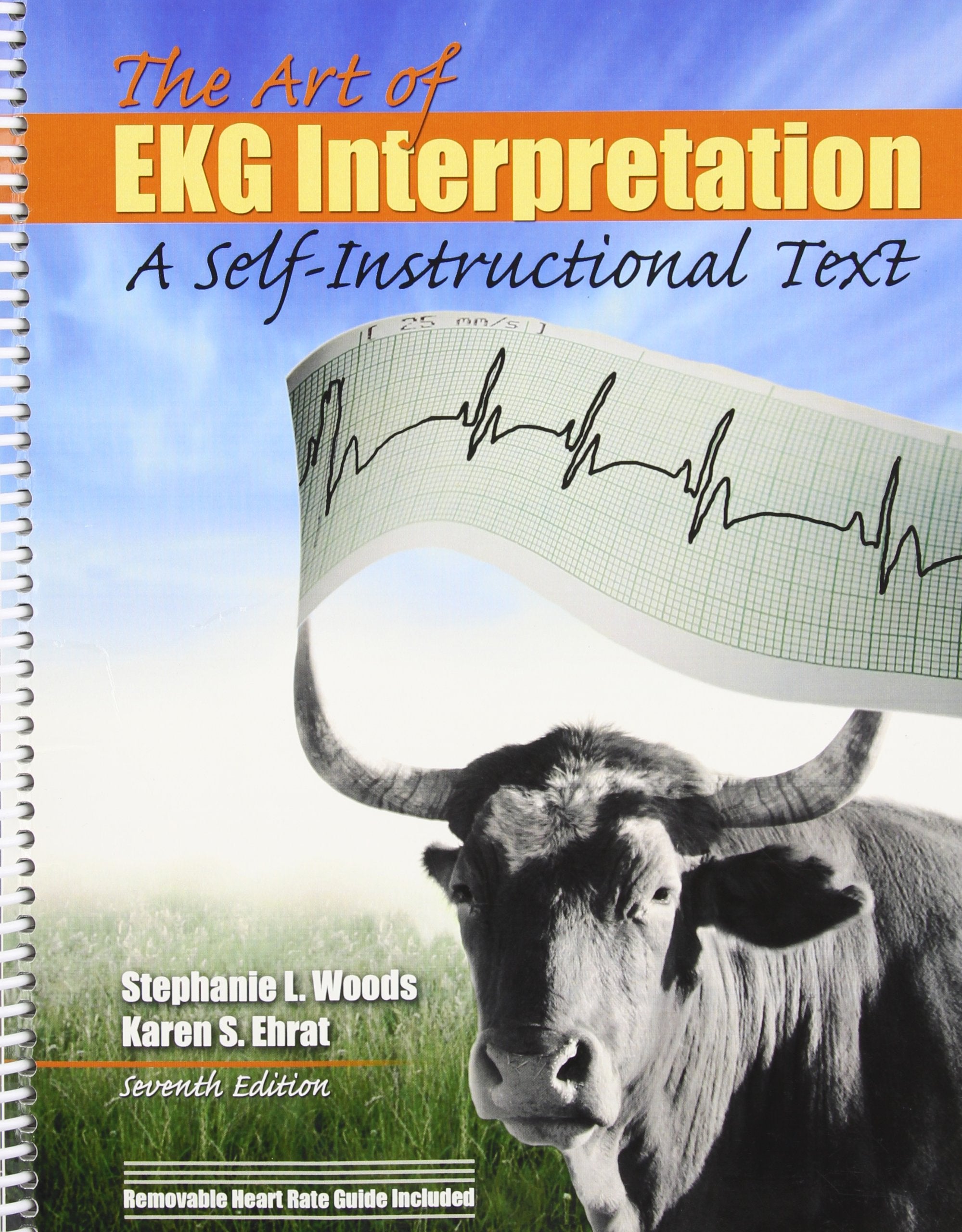 THE ART OF EKG INTERPRETATION,Used