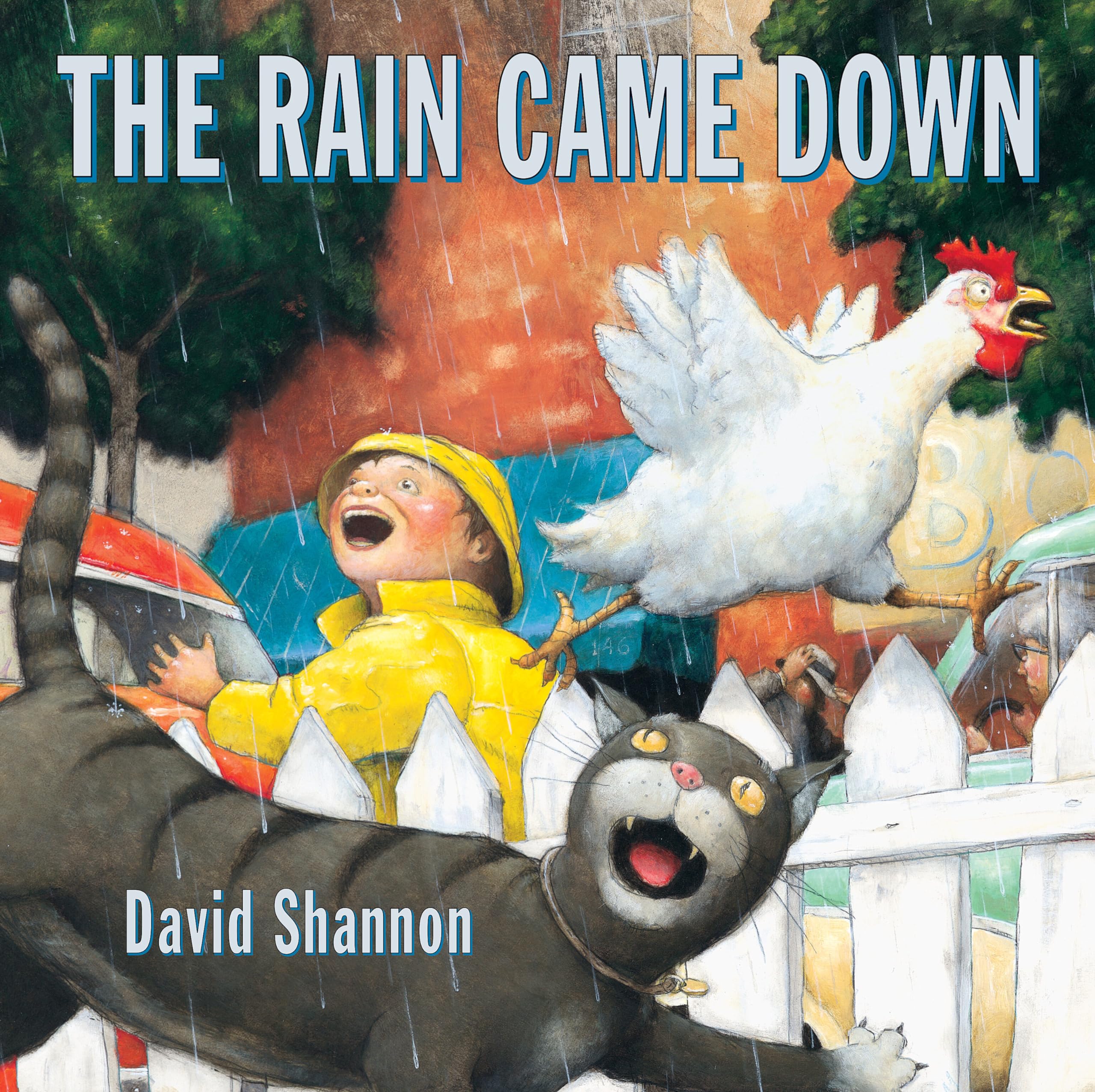 The Rain Came Down (Scholastic Bookshelf),New
